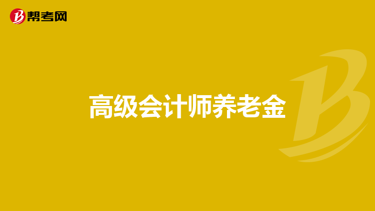 高级会计师养老金