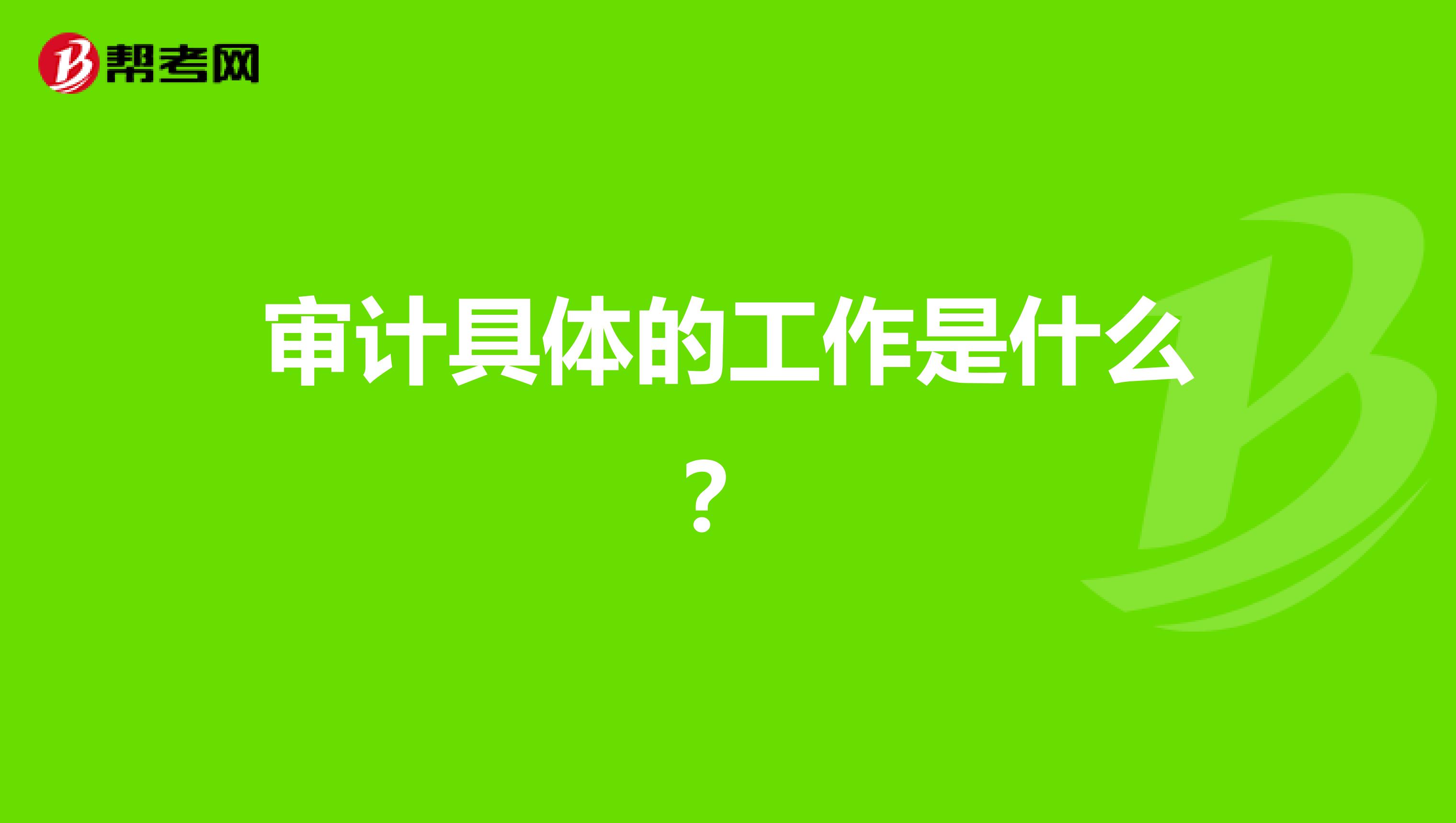 审计具体的工作是什么？