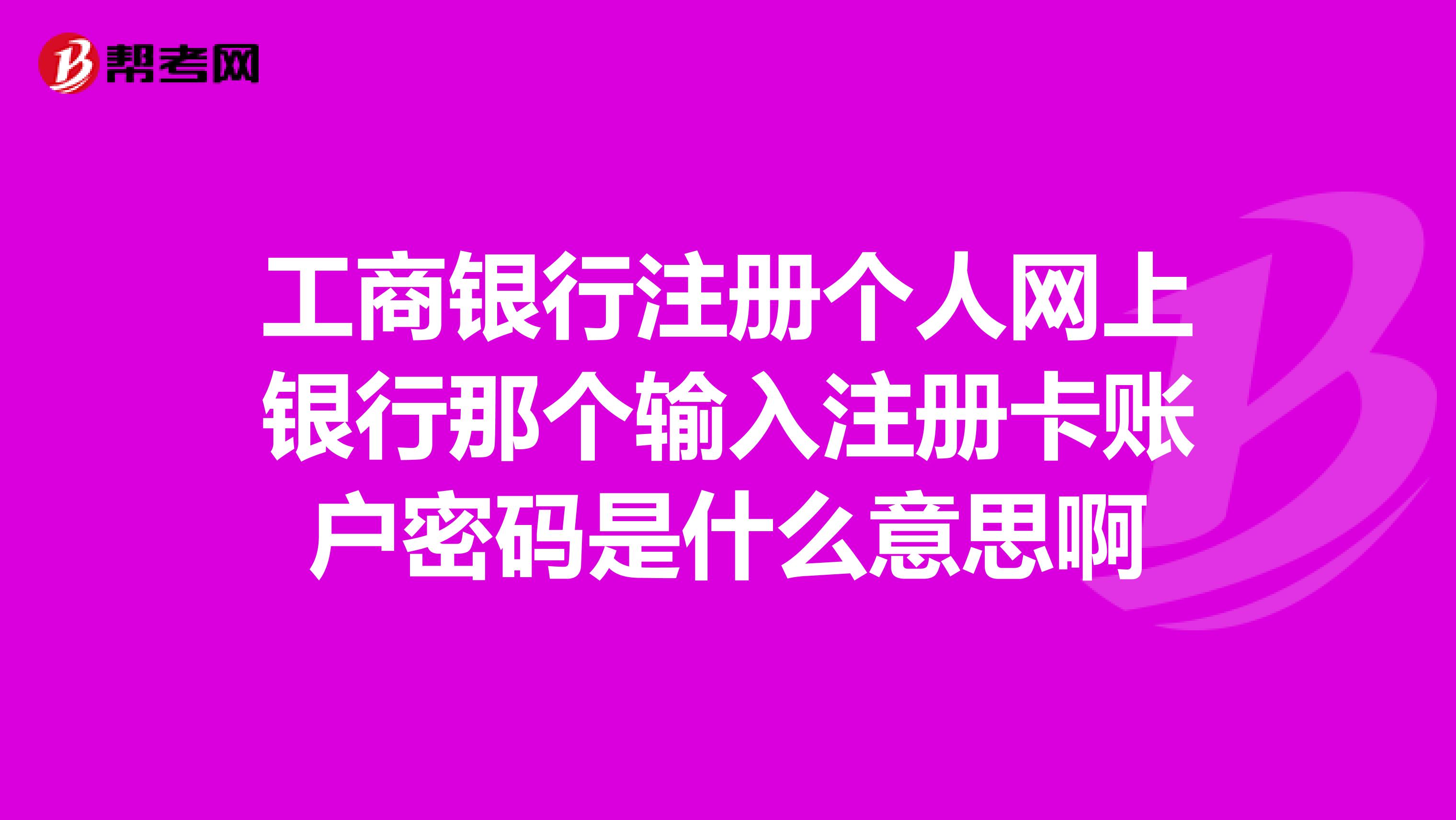 工商银行注册个人网上银行那个输入注册卡账户密码是什么意思啊