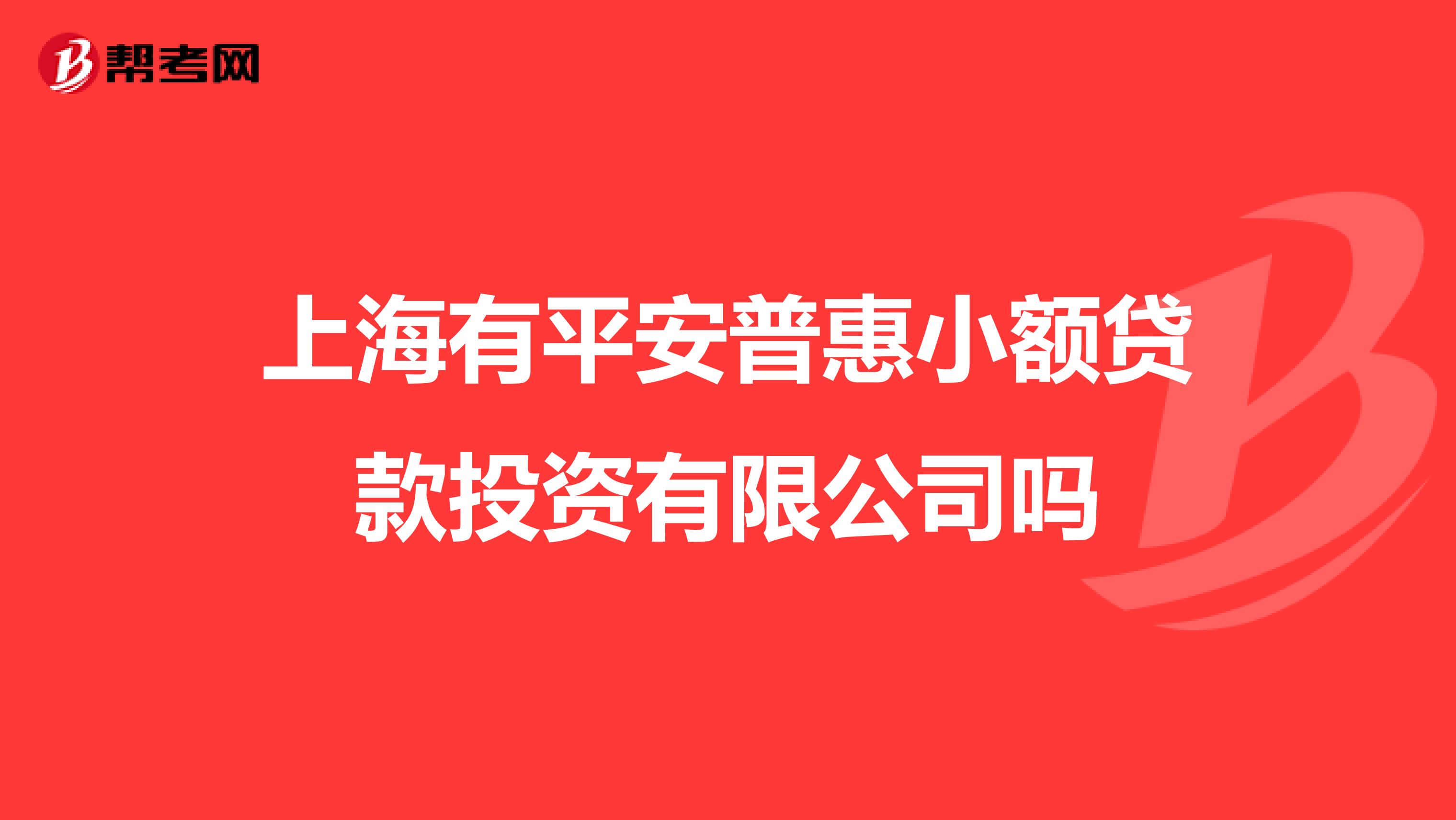 上海有平安普惠小额贷款投资有限公司吗