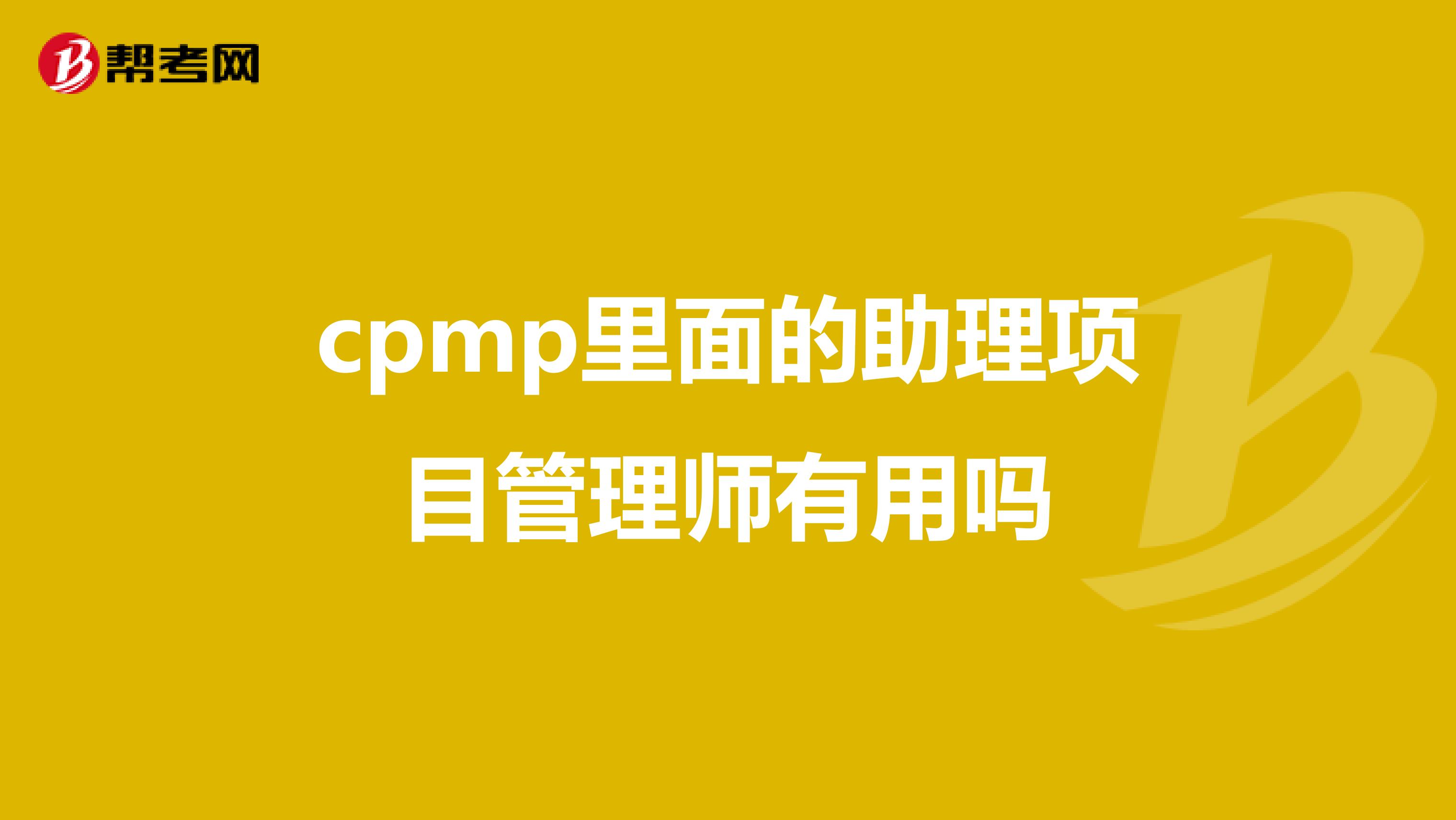 cpmp里面的助理项目管理师有用吗