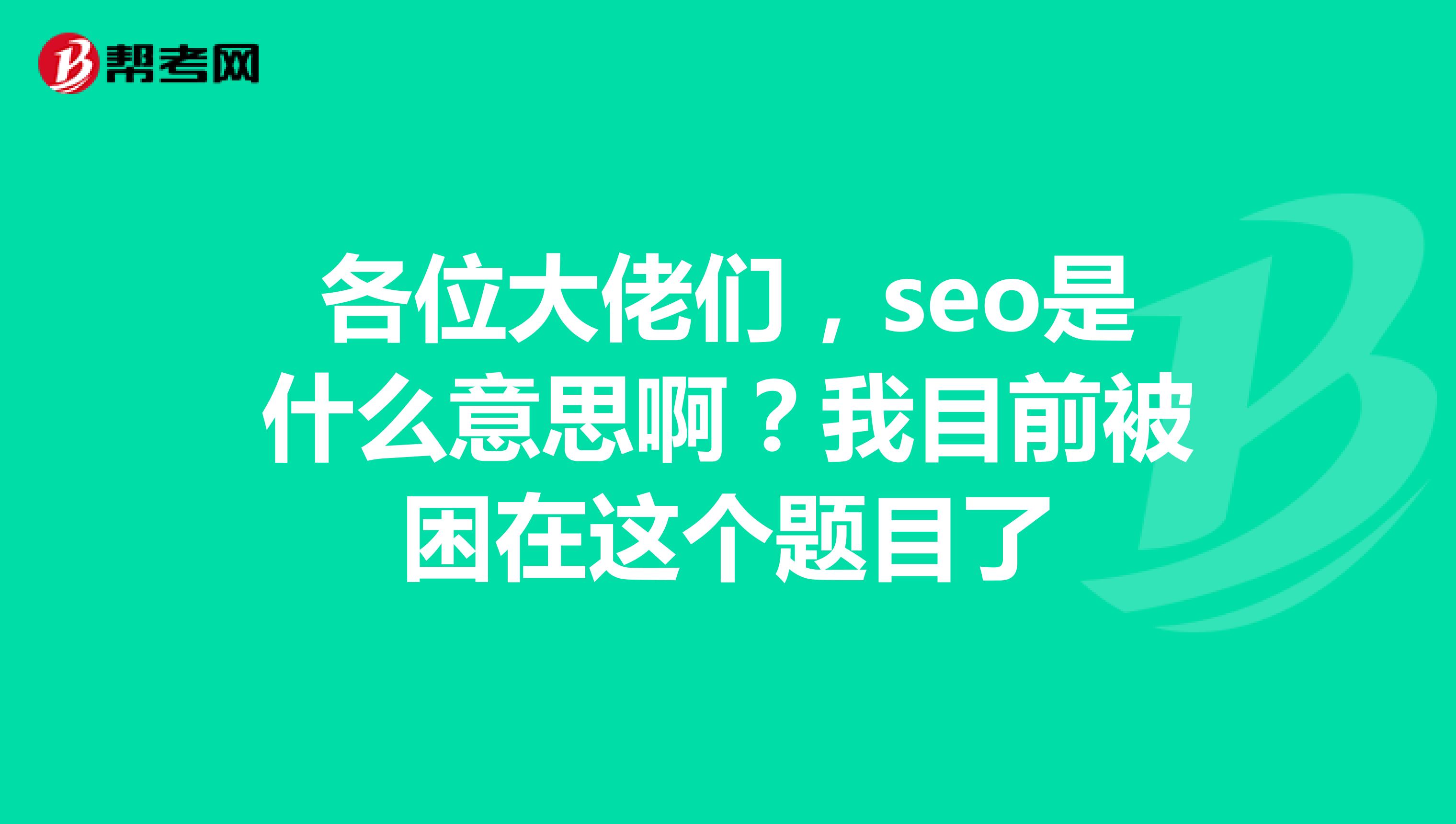 各位大佬们，seo是什么意思啊？我目前被困在这个题目了