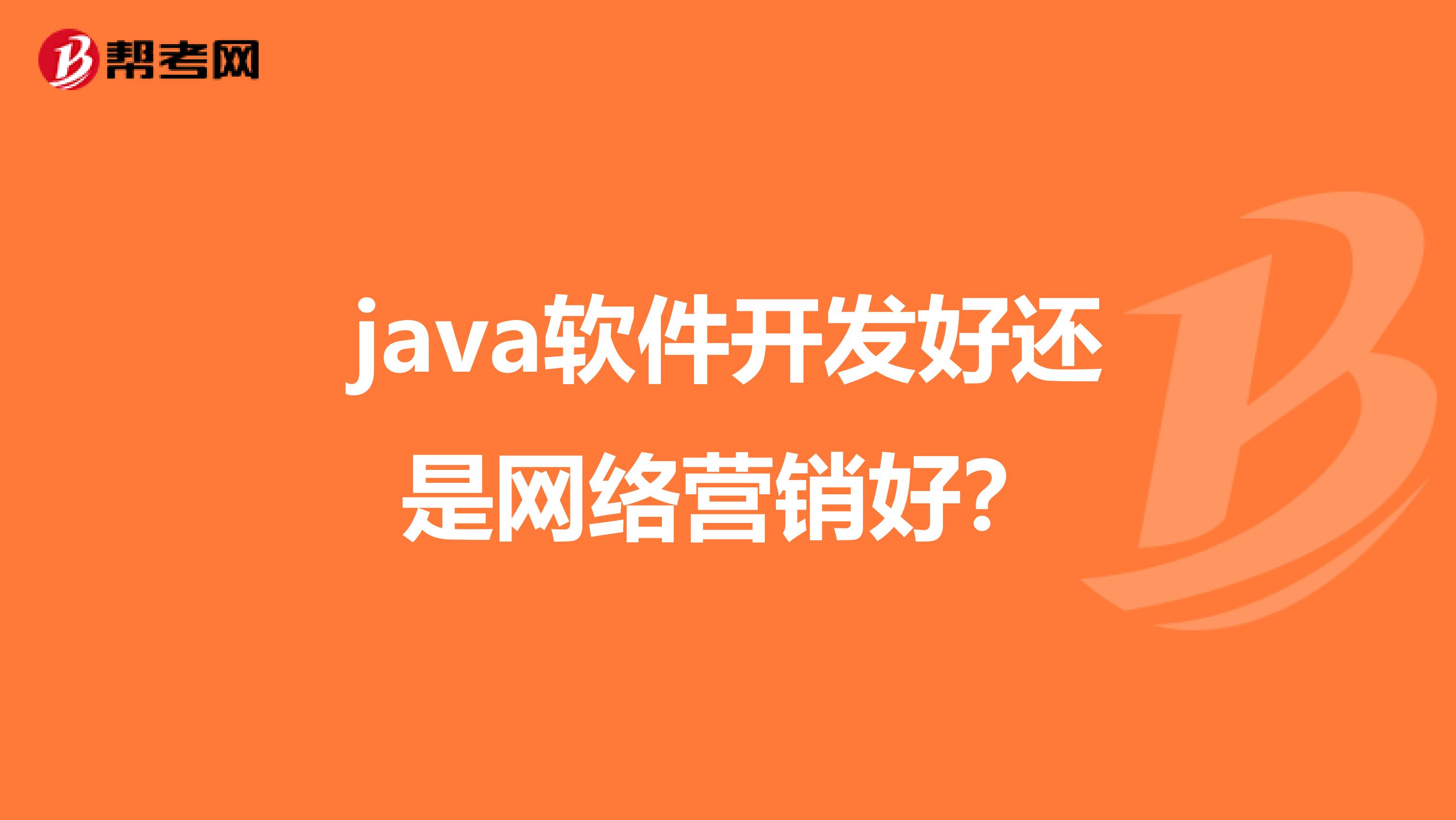 java软件开发好还是网络营销好？