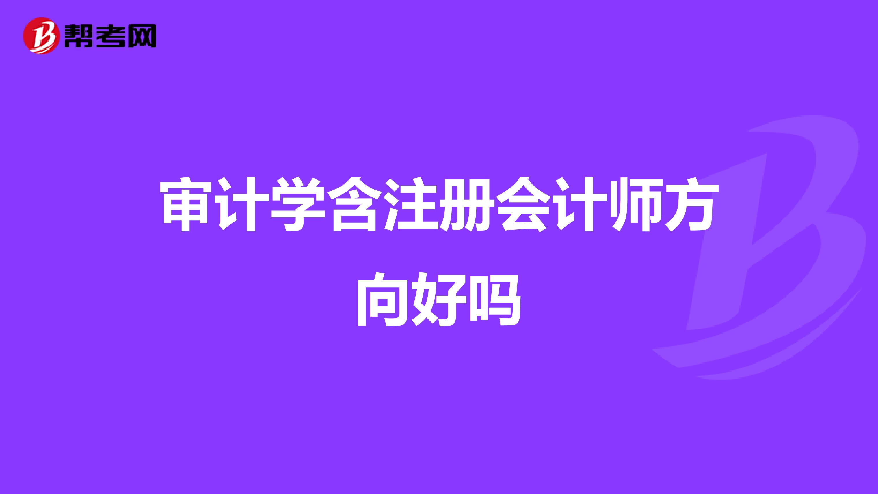 审计学含注册会计师方向好吗