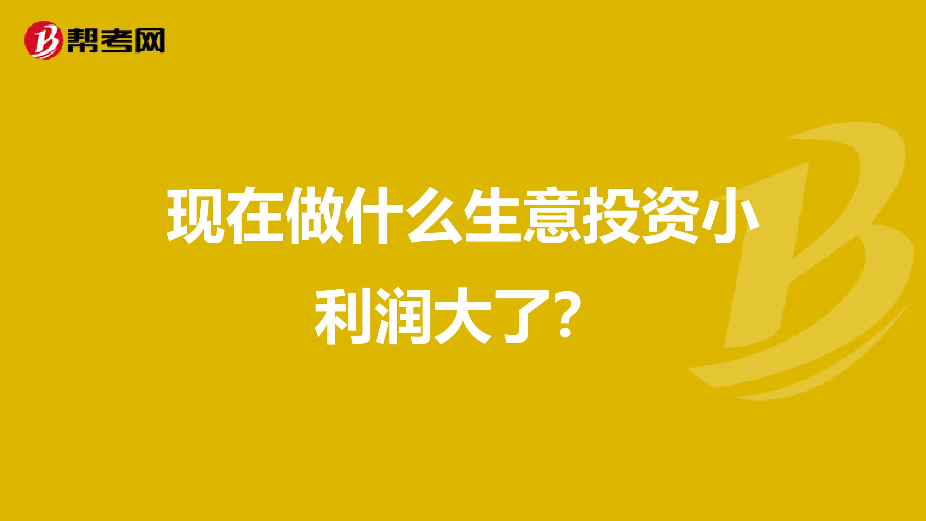 现在做什么生意投资小利润大了?