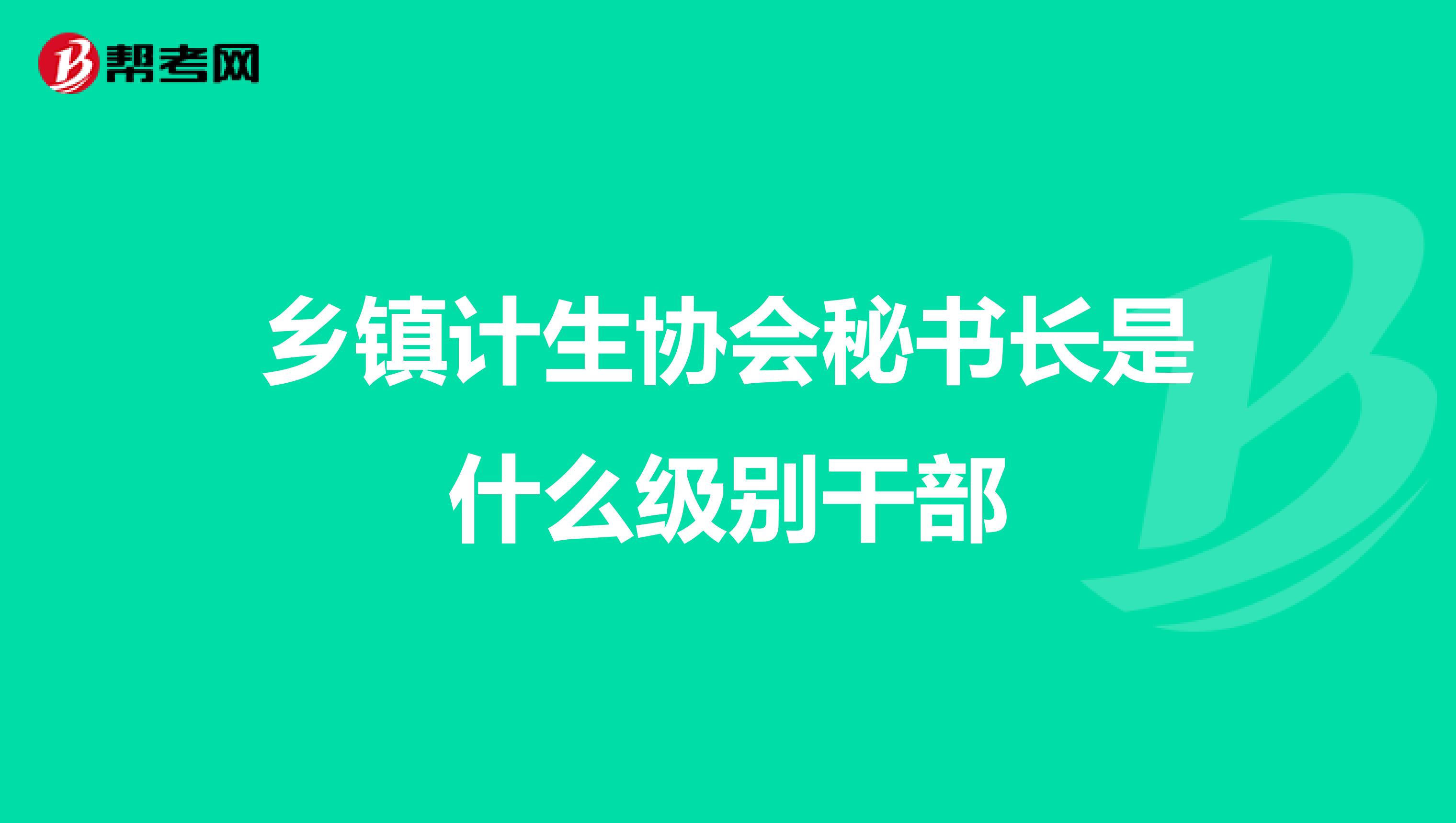乡镇计生协会秘书长是什么级别干部