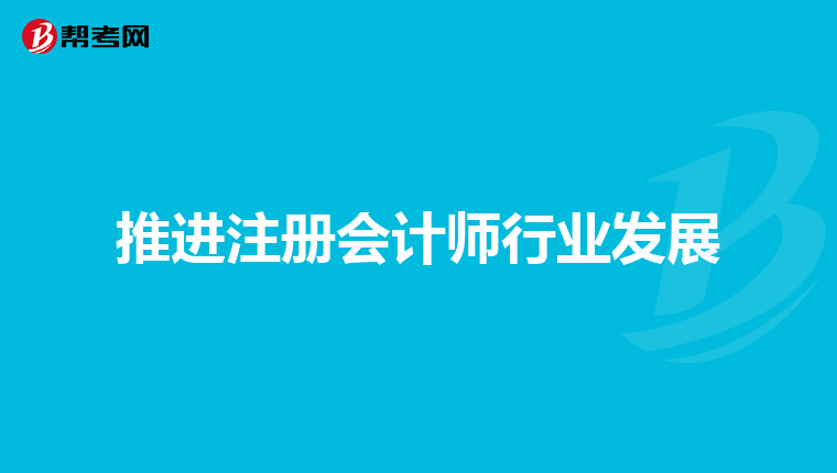推進注冊會計師行業(yè)發(fā)展