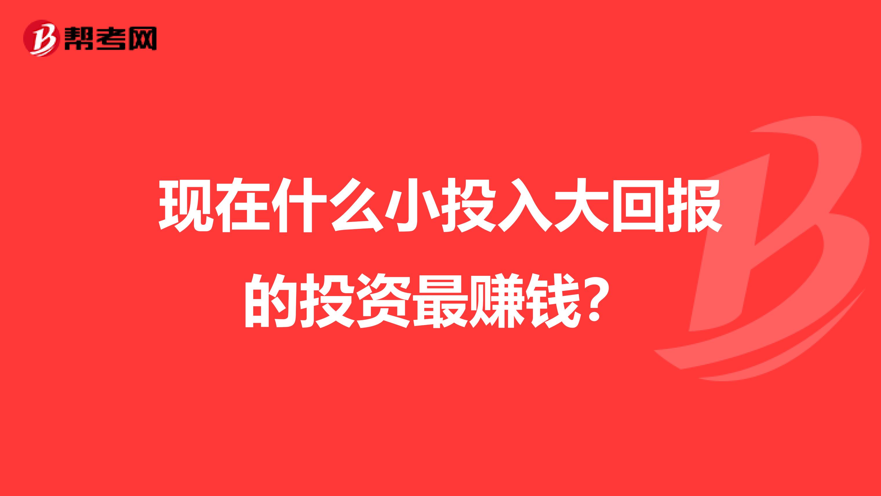 现在什么小投入大回报的投资最赚钱？