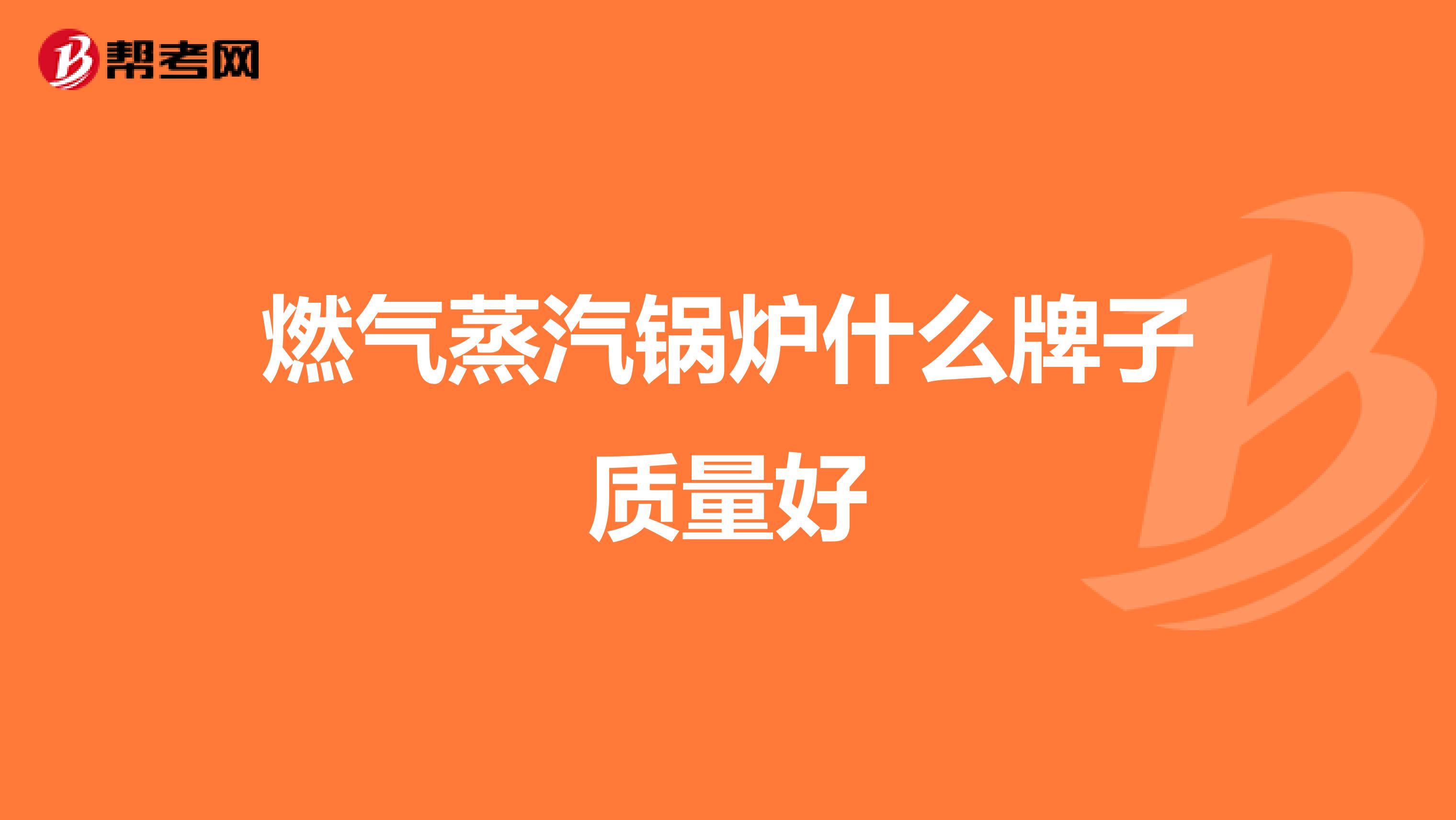 燃气蒸汽锅炉什么牌子质量好