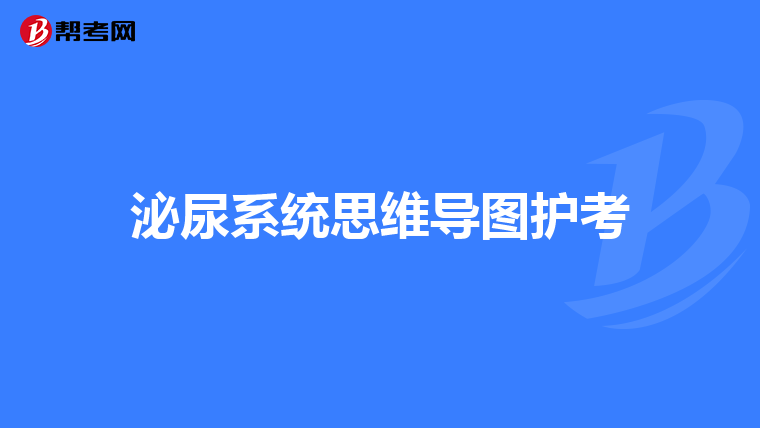 泌尿系统思维导图护考