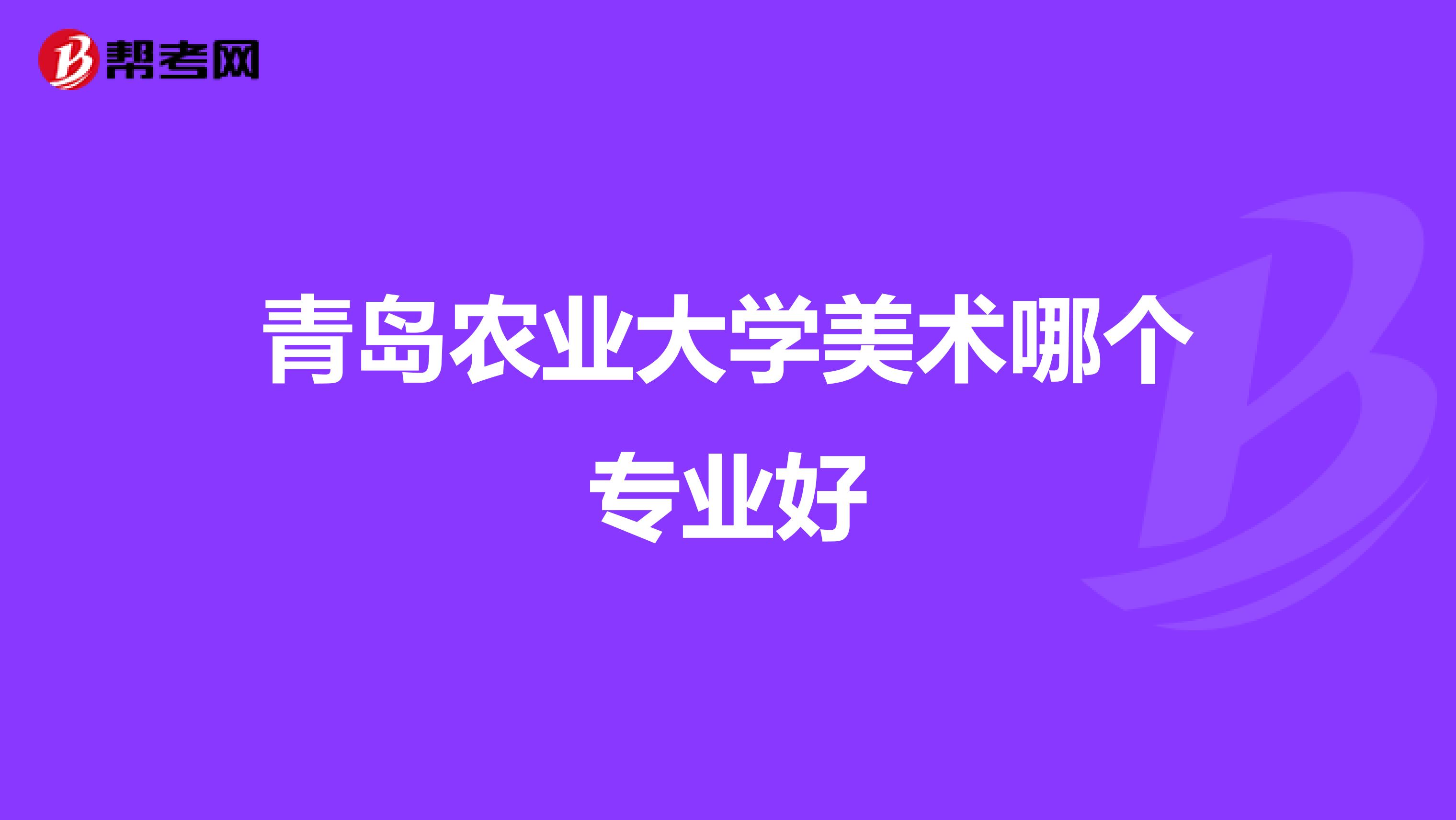 青岛农业大学美术哪个专业好