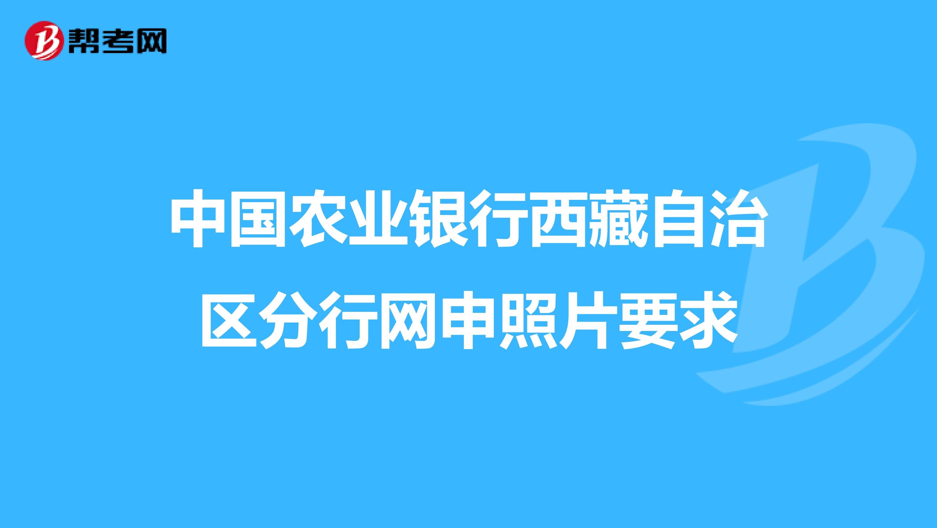 中国农业银行西藏自治区分行网申照片要求