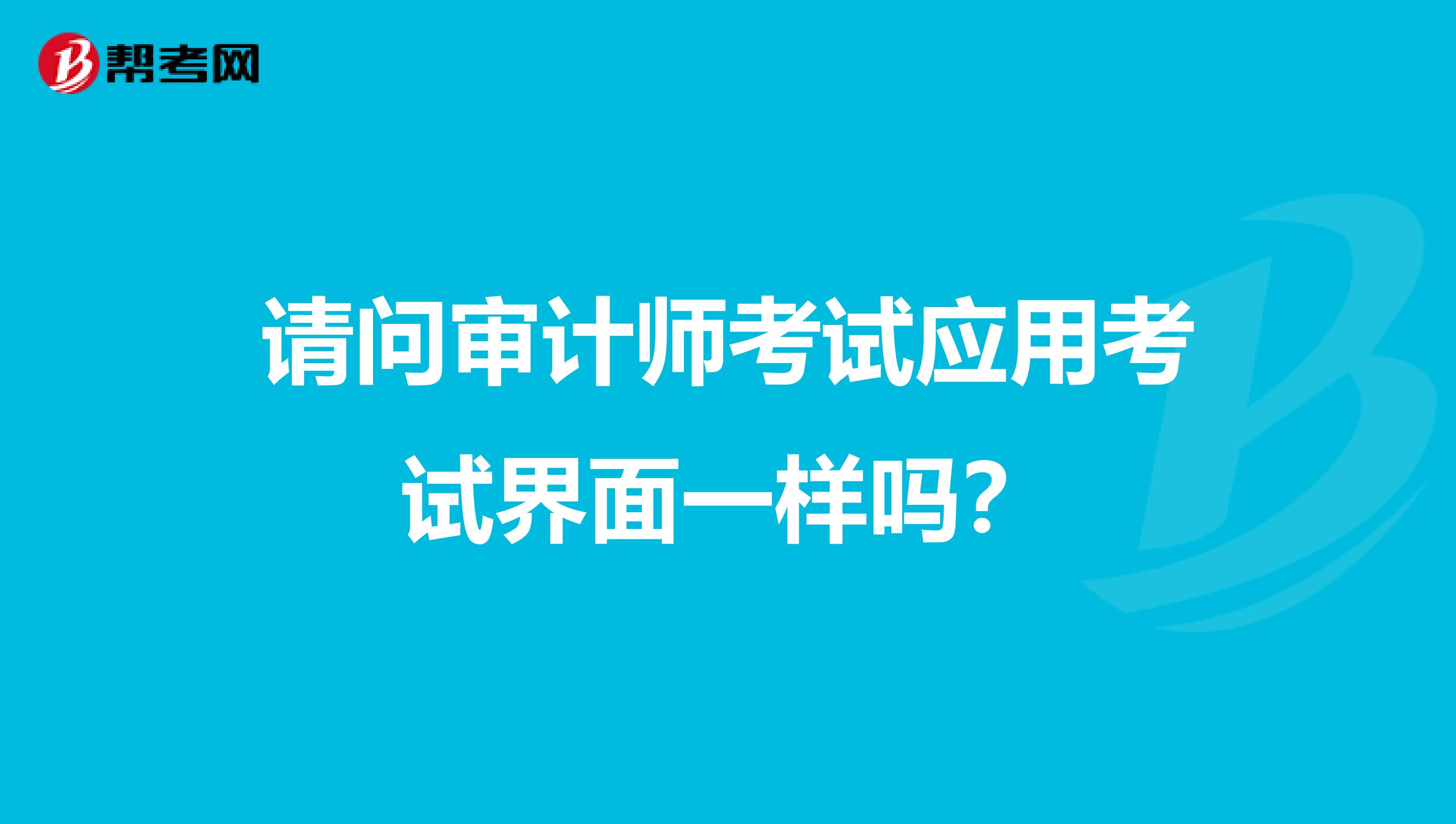 请问审计师考试应用考试界面一样吗?