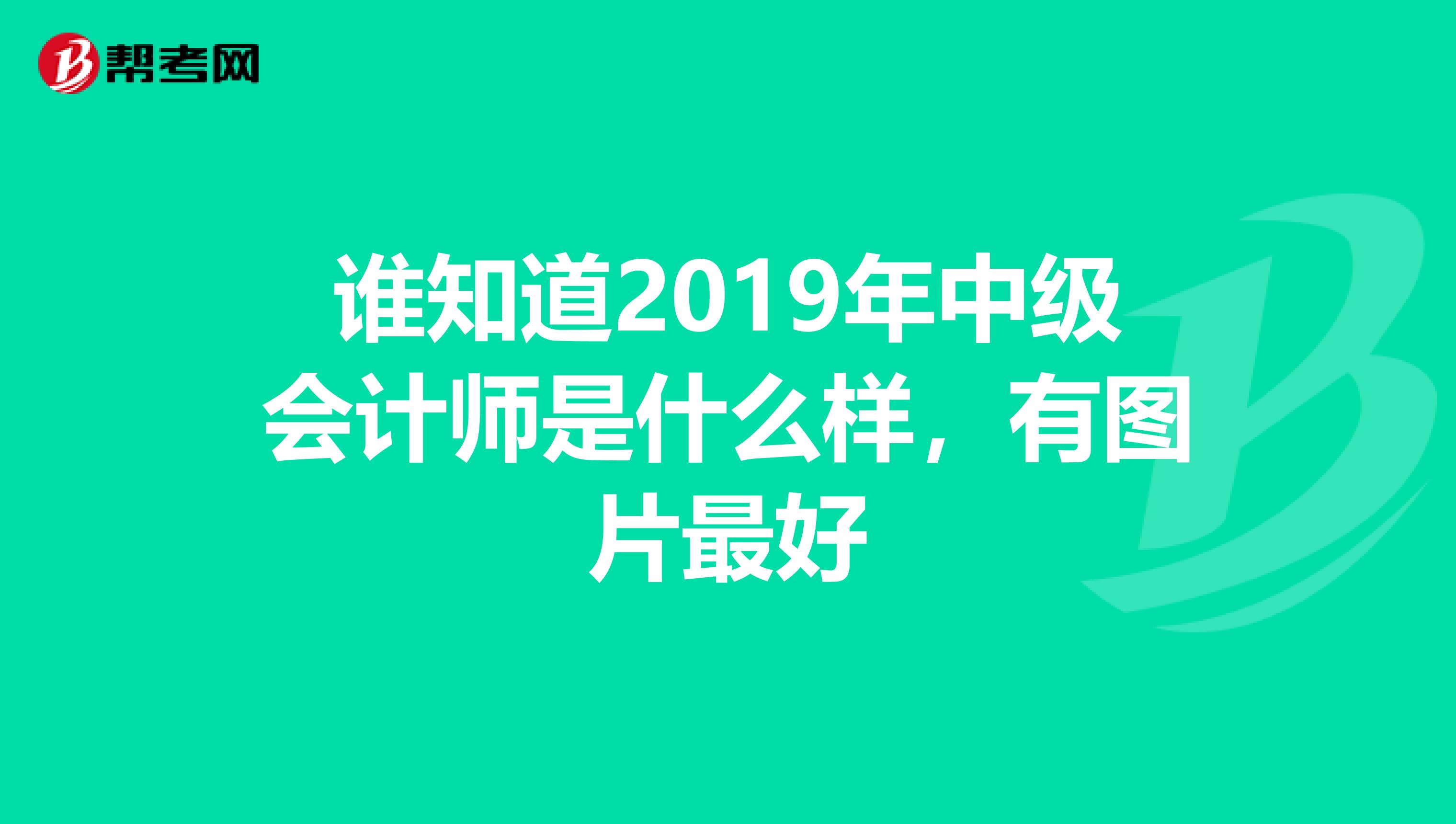 谁知道2019年中级会计师是什么样,有图片最好