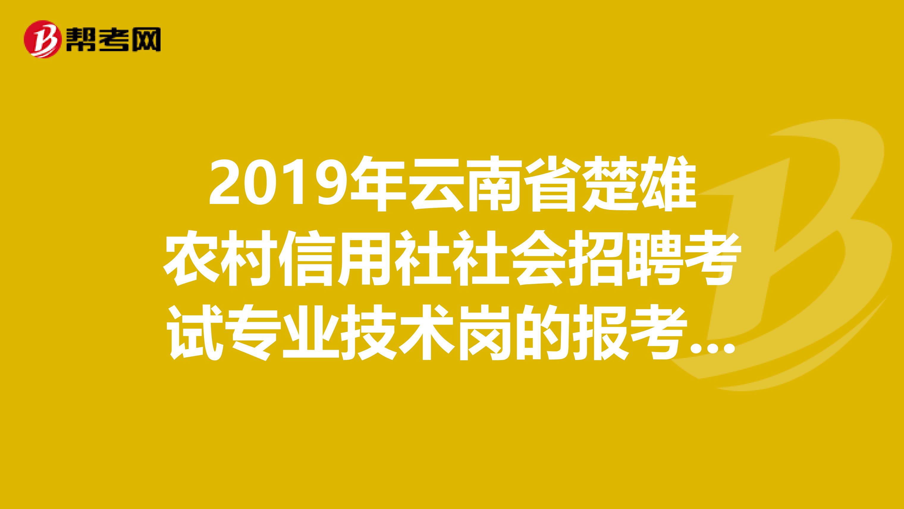 2019年云南省楚雄农村信用社社会招聘考试专业技术岗的报考条件是什么？