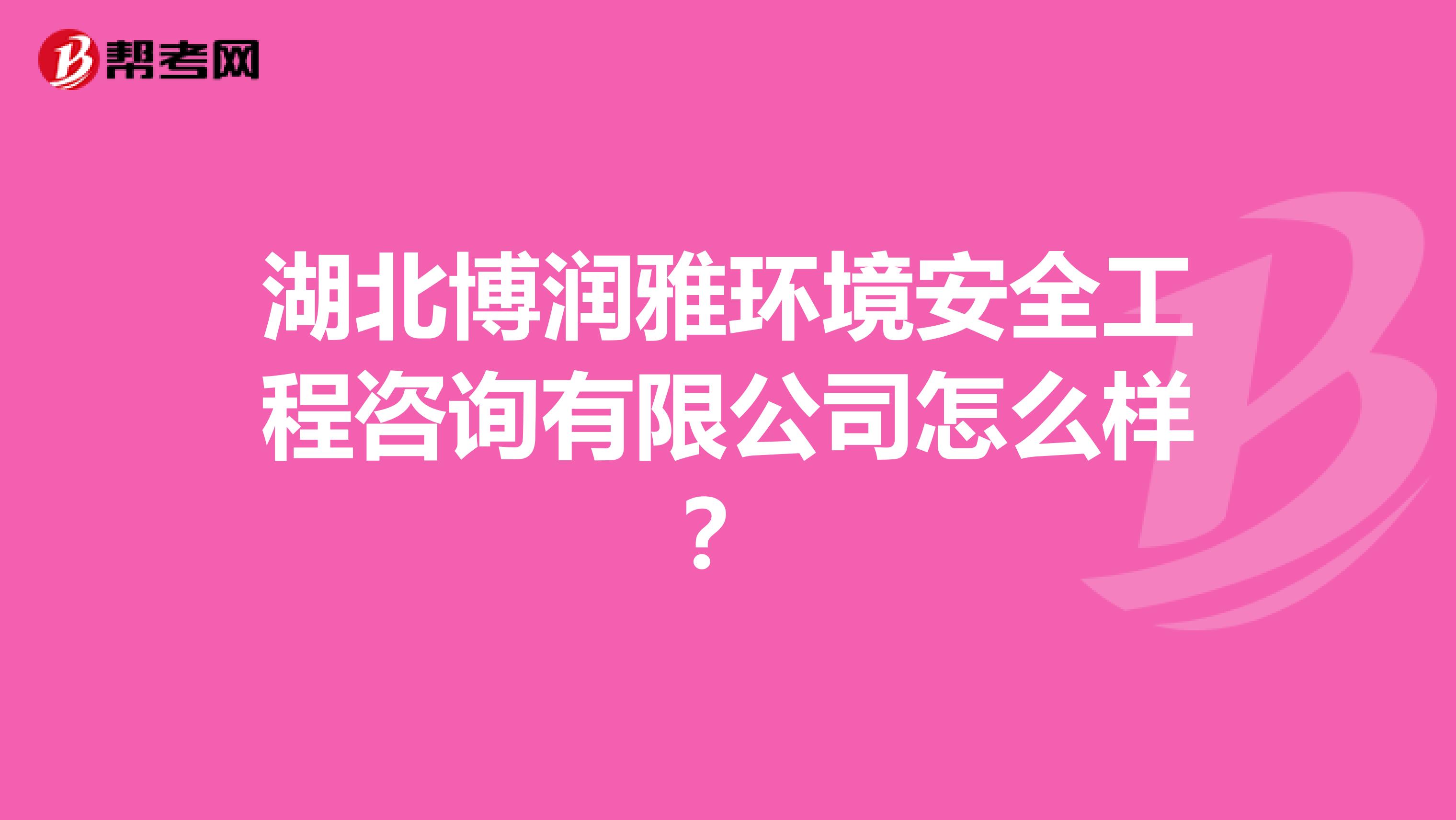湖北博润雅环境安全工程咨询有限公司怎么样？