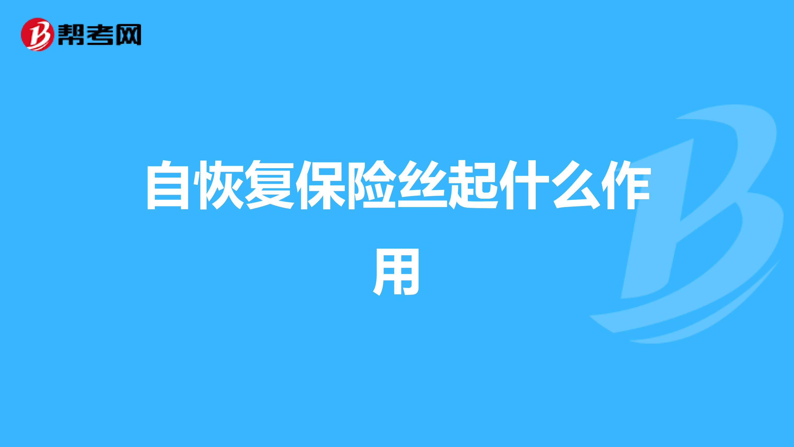 自恢复保险丝起什么作用