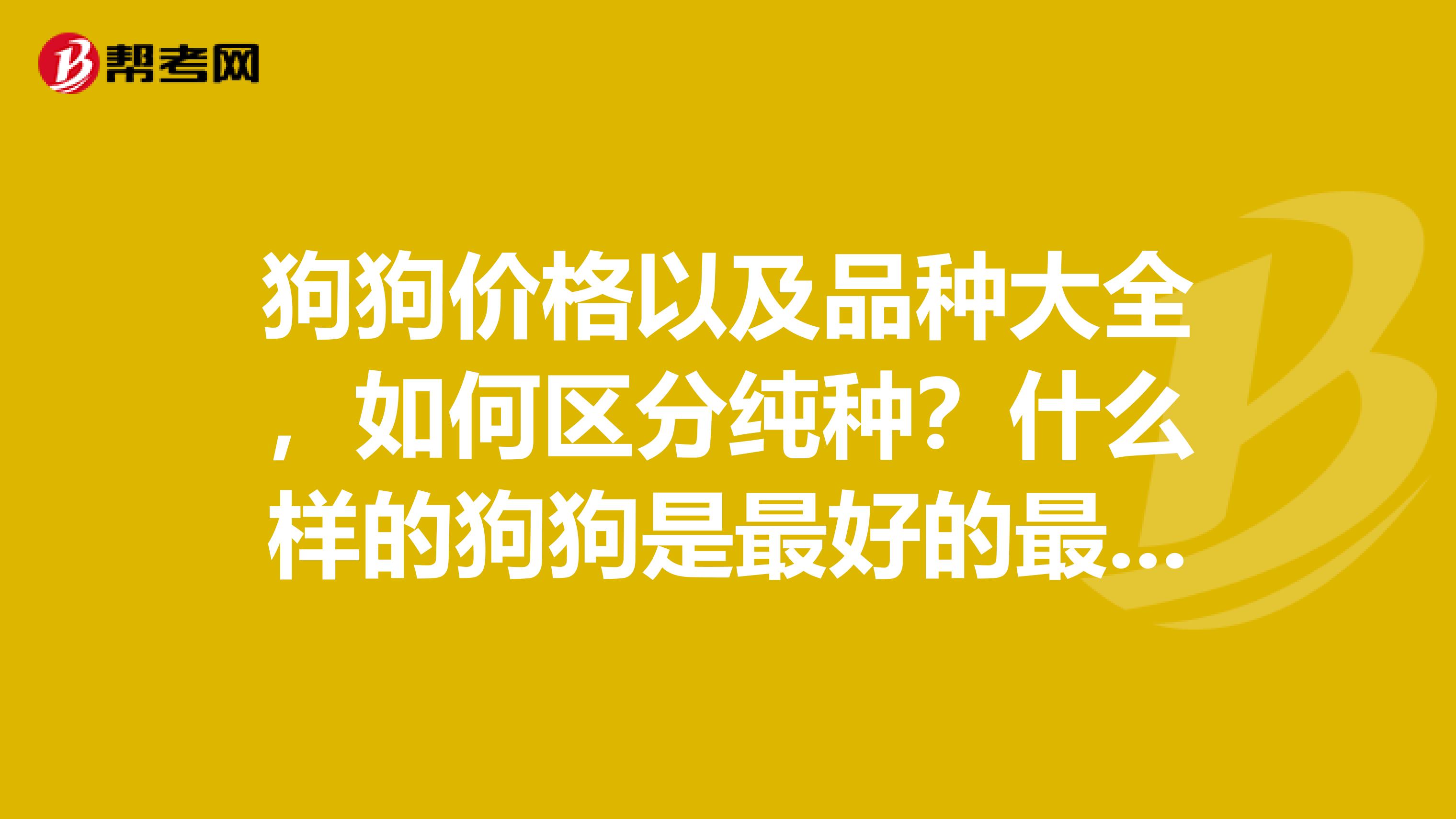 狗狗价格以及品种大全，如何区分纯种？什么样的狗狗是最好的最受欢迎
