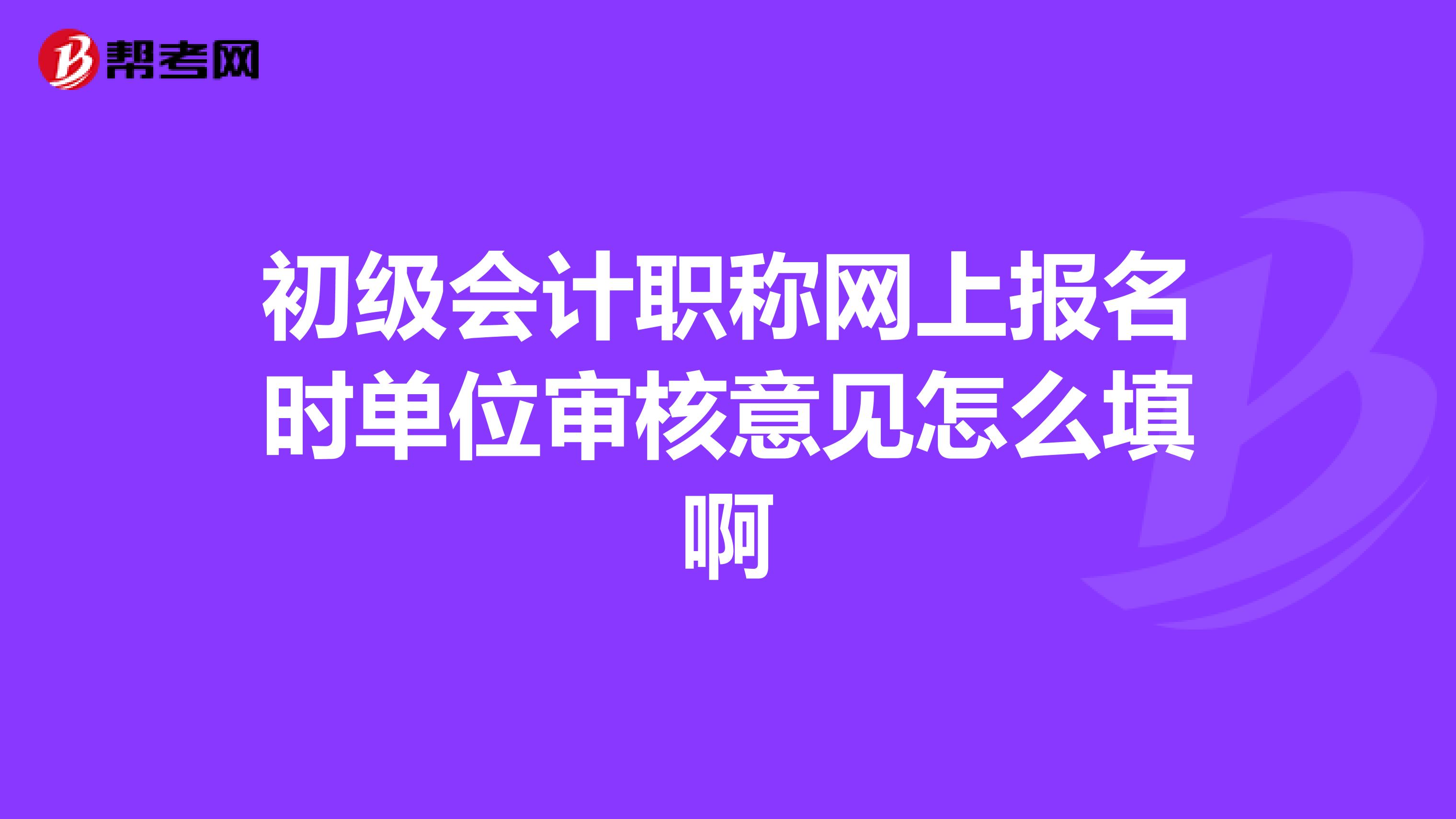 初级会计职称网上报名时单位审核意见怎么填啊
