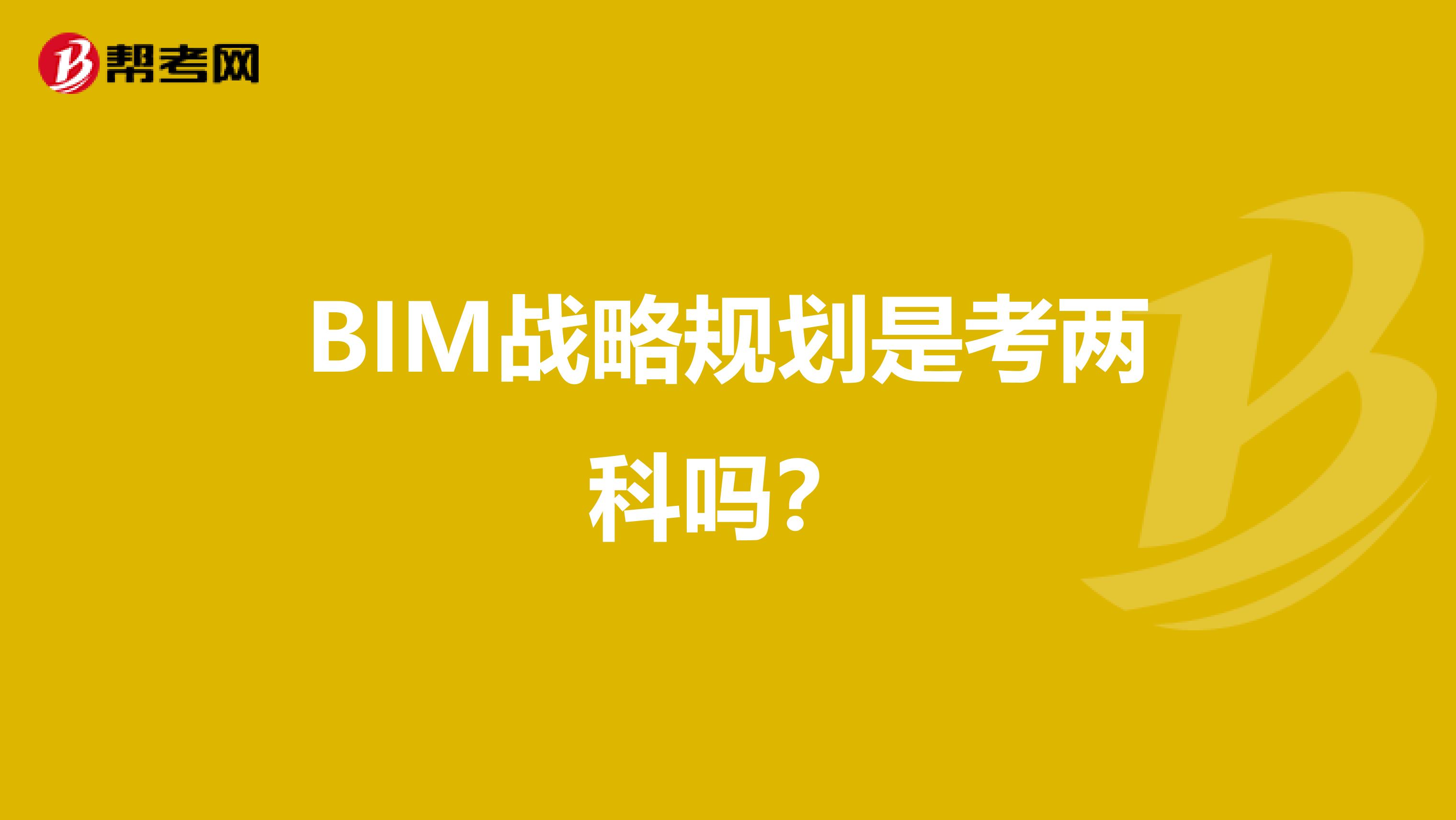 BIM战略规划是考两科吗?