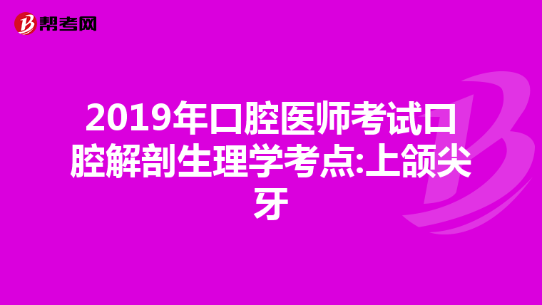 2019年口腔医师考试口腔解剖生理学考点:上颌尖牙