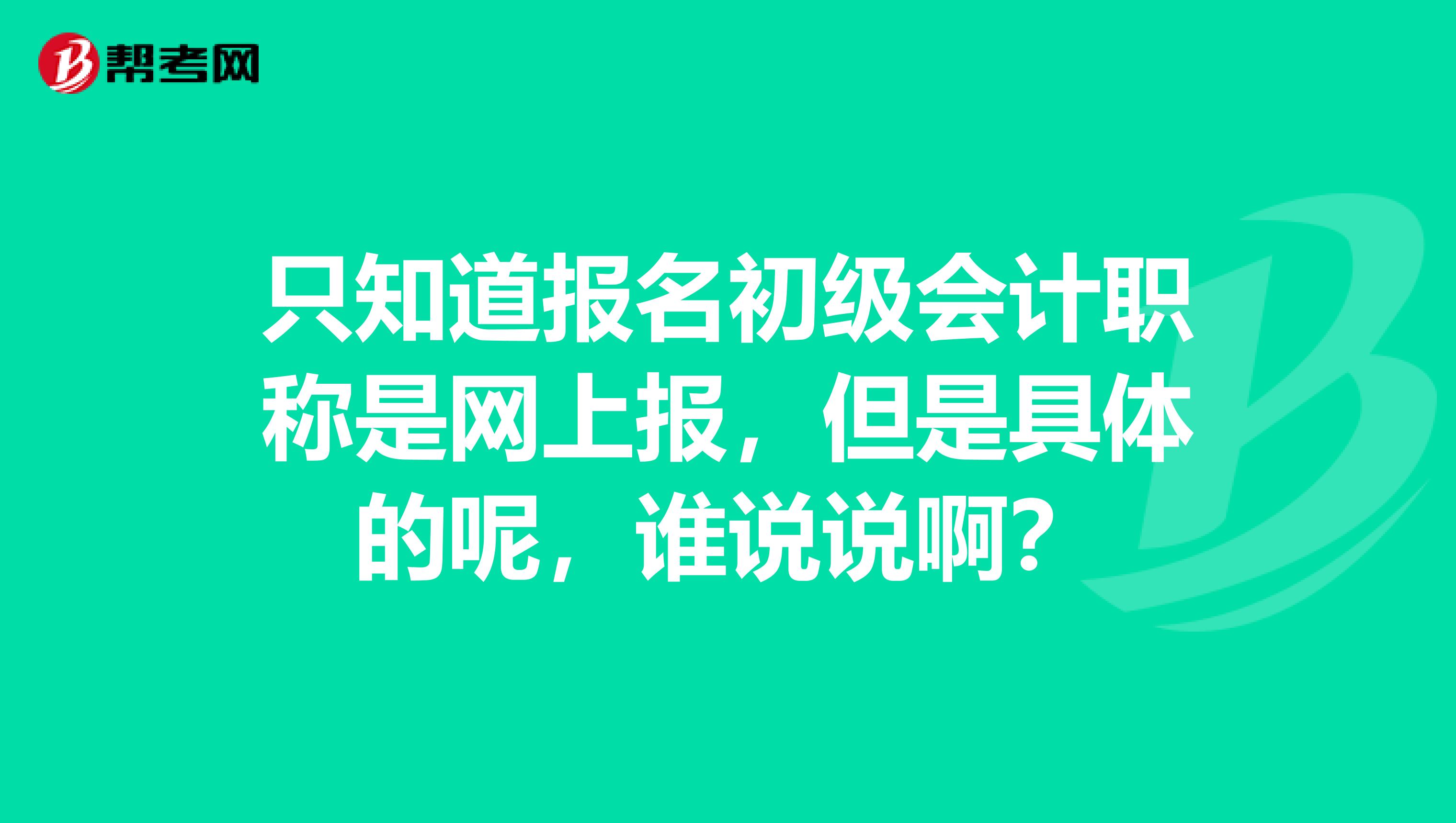 只知道报名初级会计职称是网上报，但是具体的呢，谁说说啊？