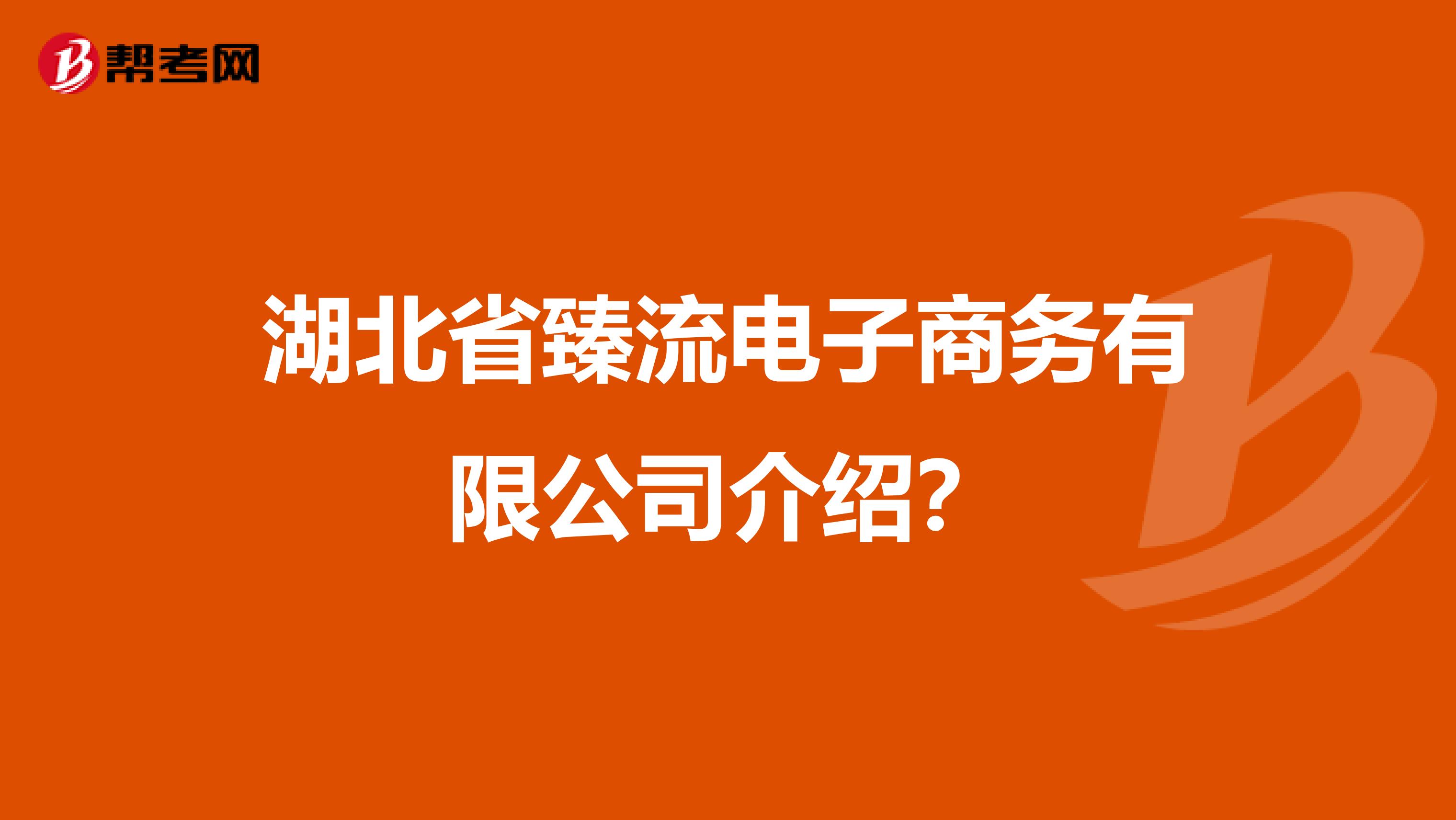 湖北省臻流电子商务有限公司介绍？