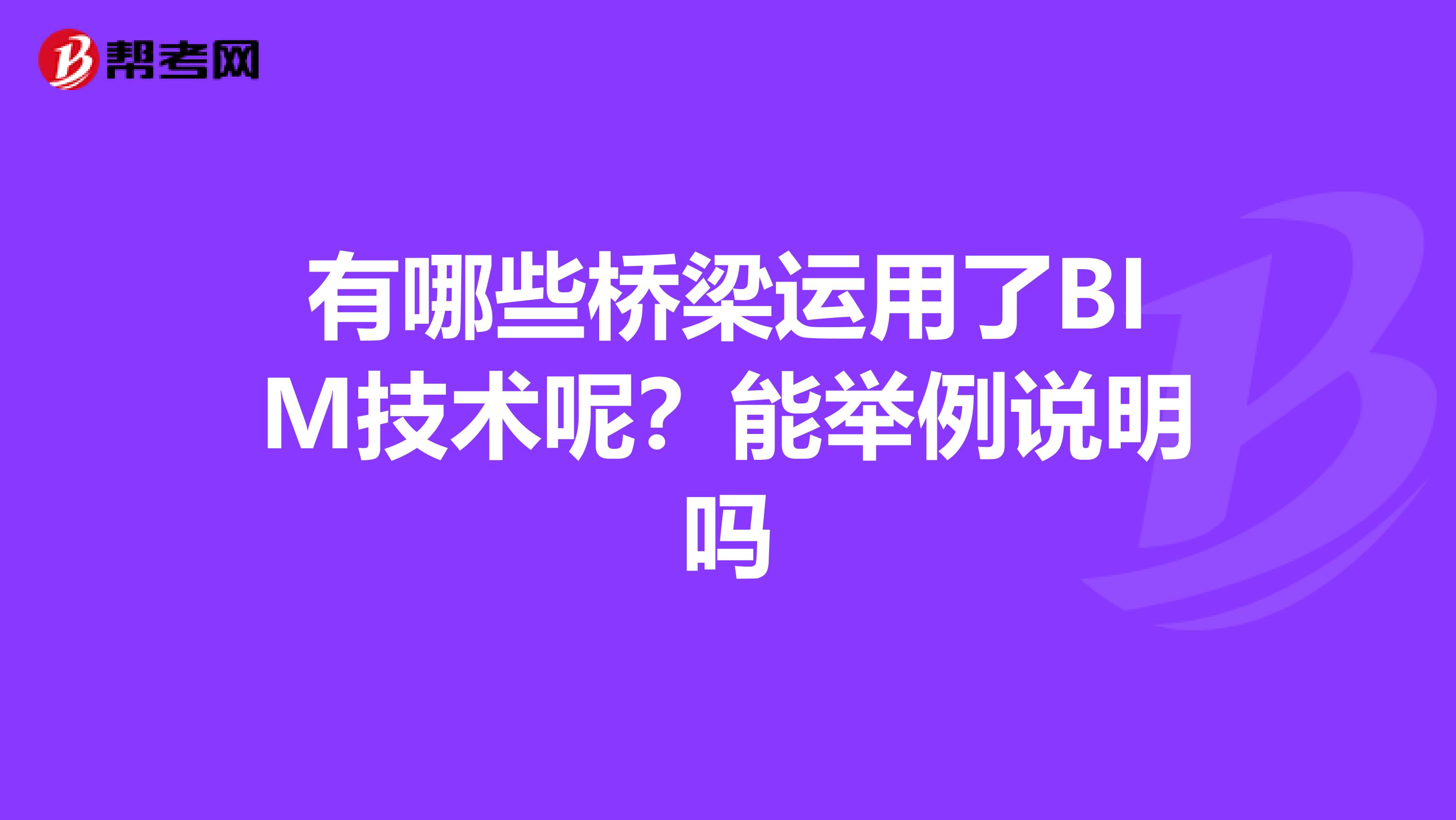 有哪些桥梁运用了BIM技术呢?能举例说明吗