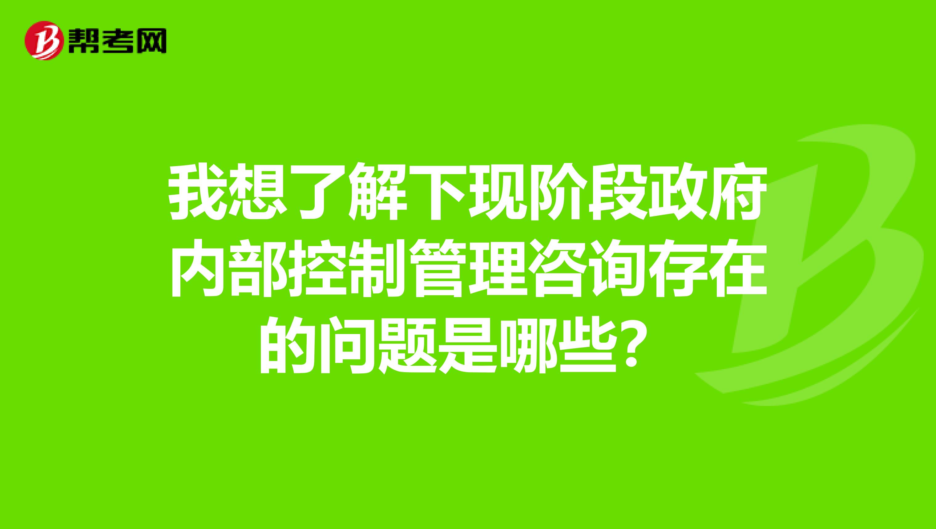 我想了解下现阶段政府内部控制管理咨询存在的问题是哪些?