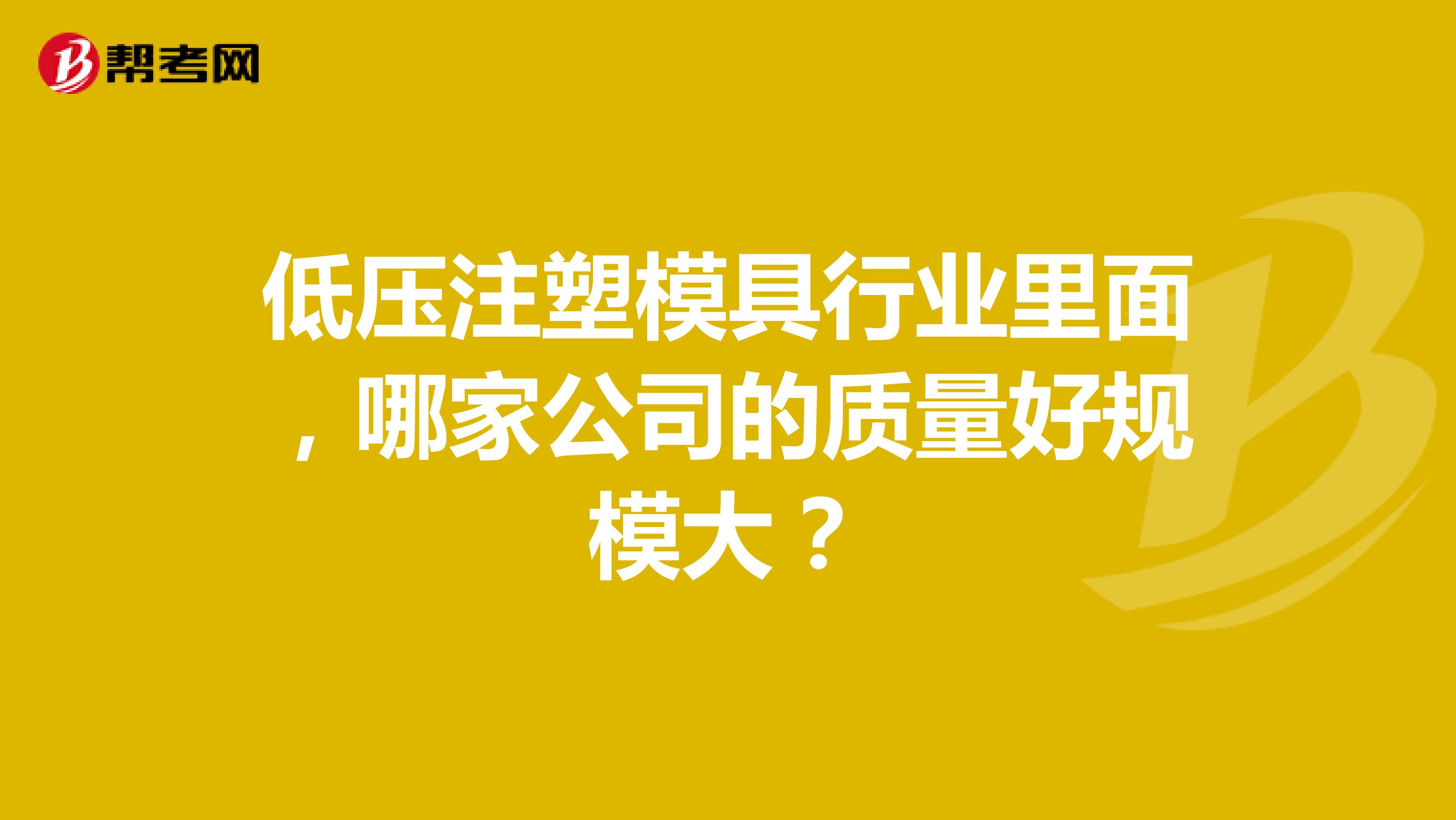 低压注塑模具行业里面，哪家公司的质量好规模大？