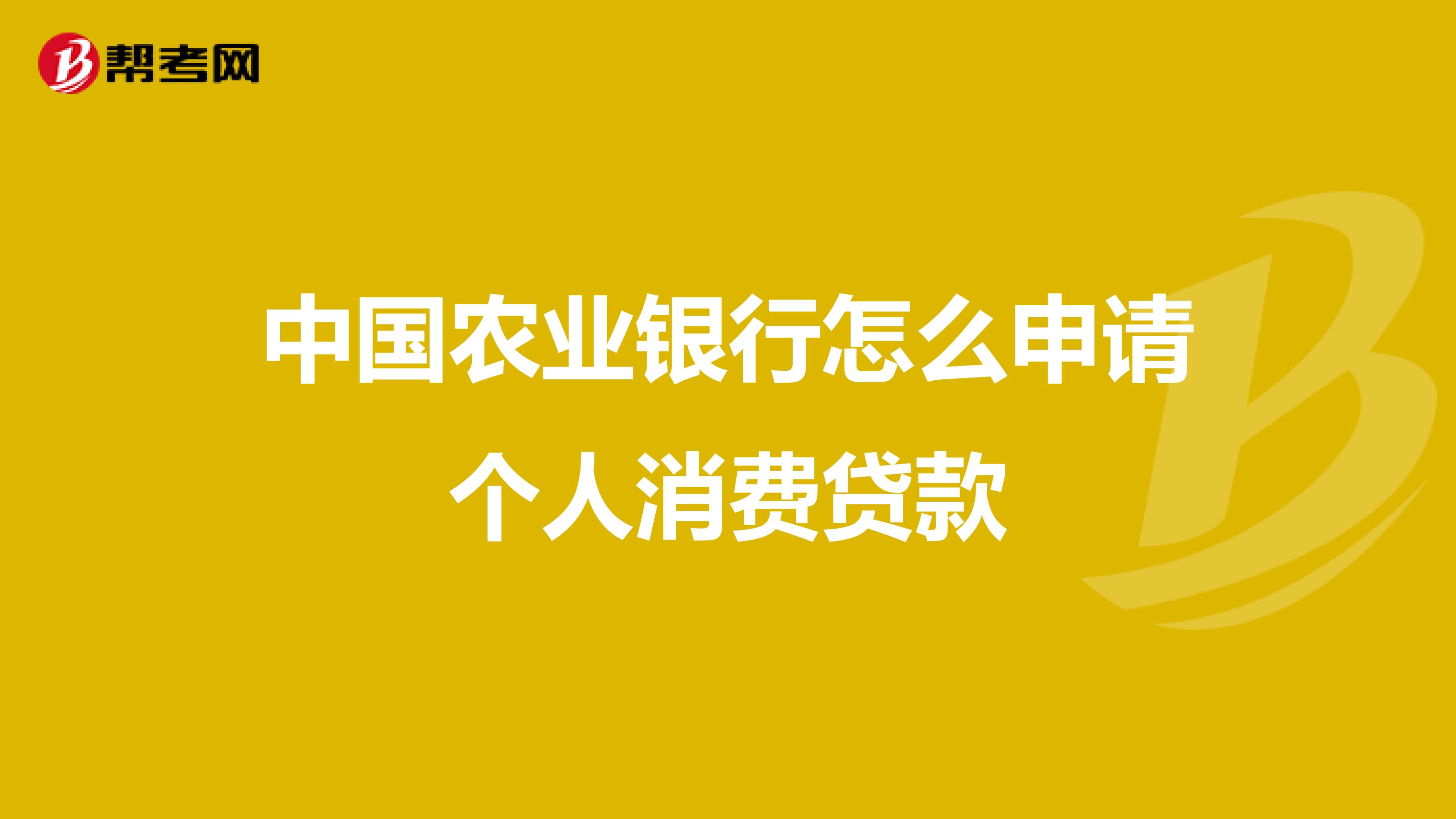 中國農(nóng)業(yè)銀行怎么申請個人消費(fèi)貸款