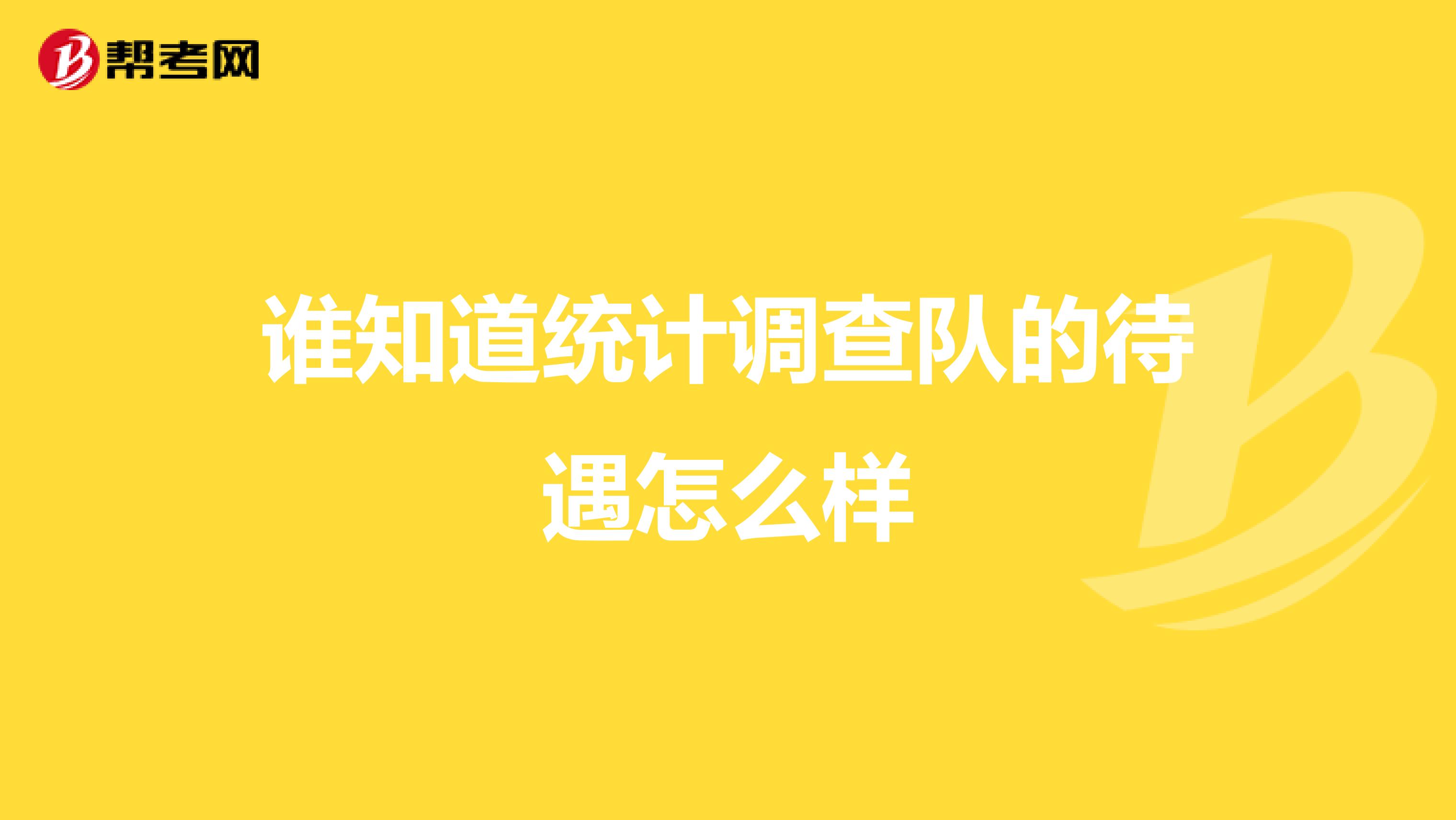 谁知道统计调查队的待遇怎么样