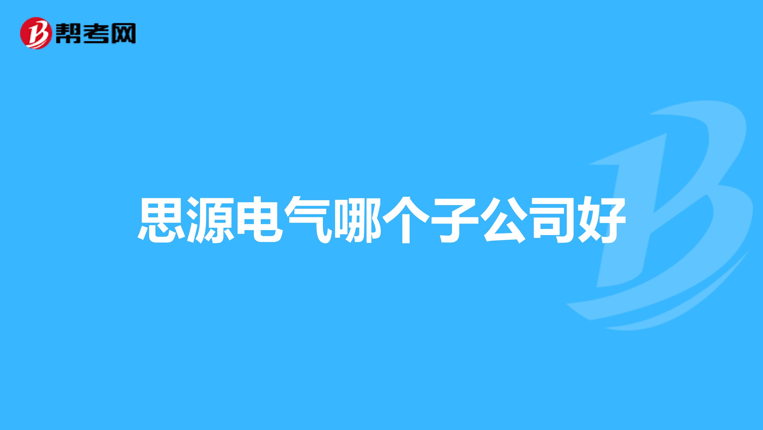 思源电气哪个子公司好