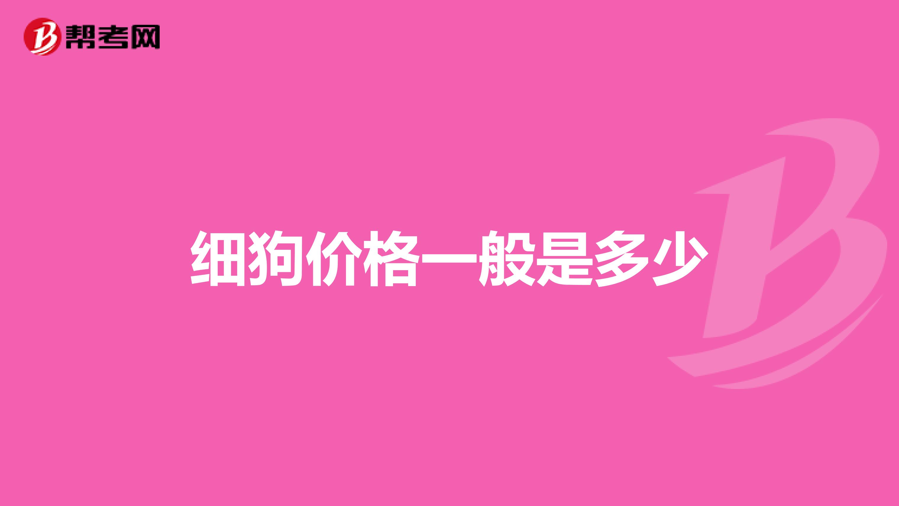 细狗价格一般是多少