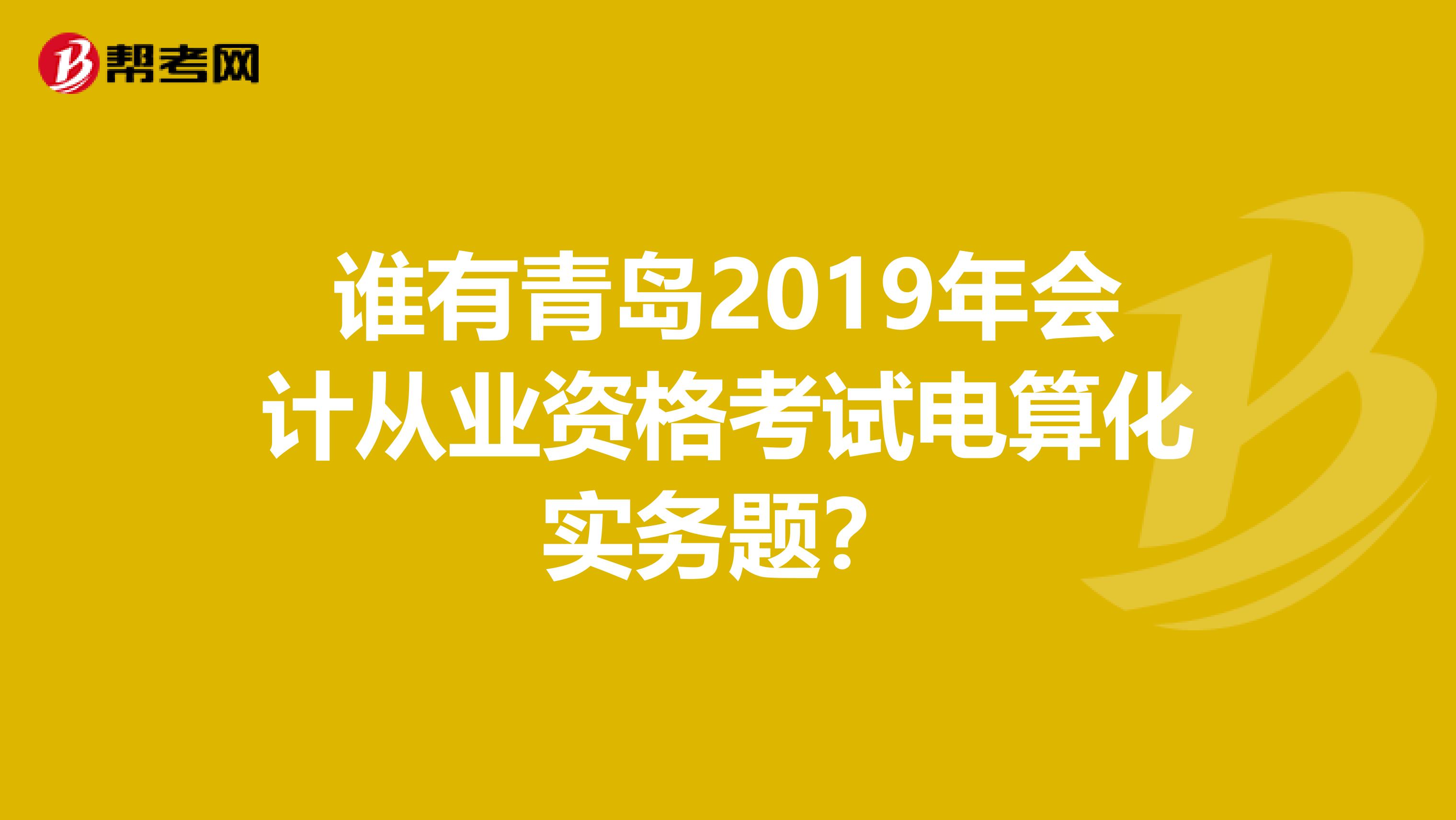 谁有青岛2019年会计从业资格考试电算化实务题？