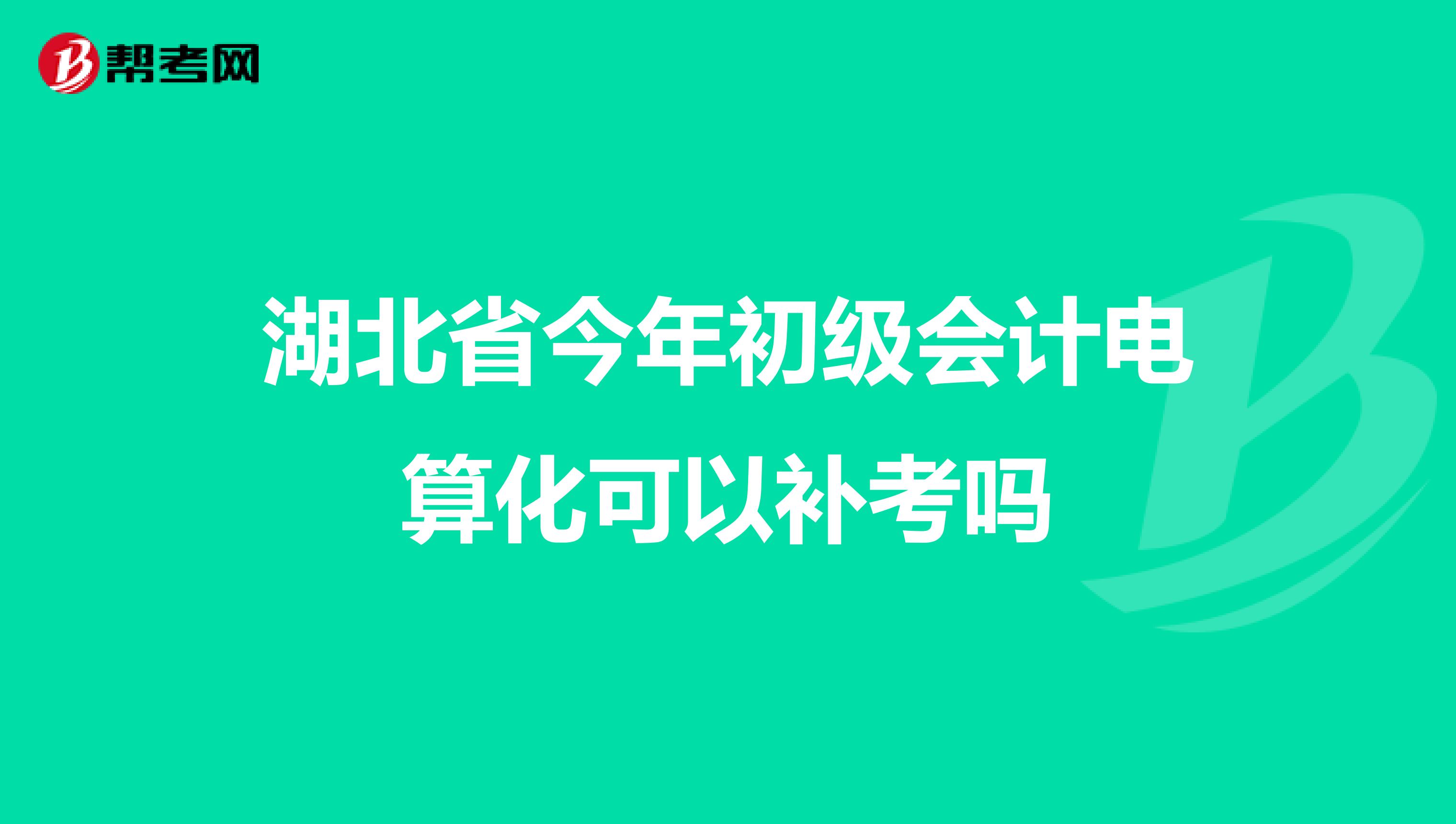 湖北省今年初级会计电算化可以补考吗