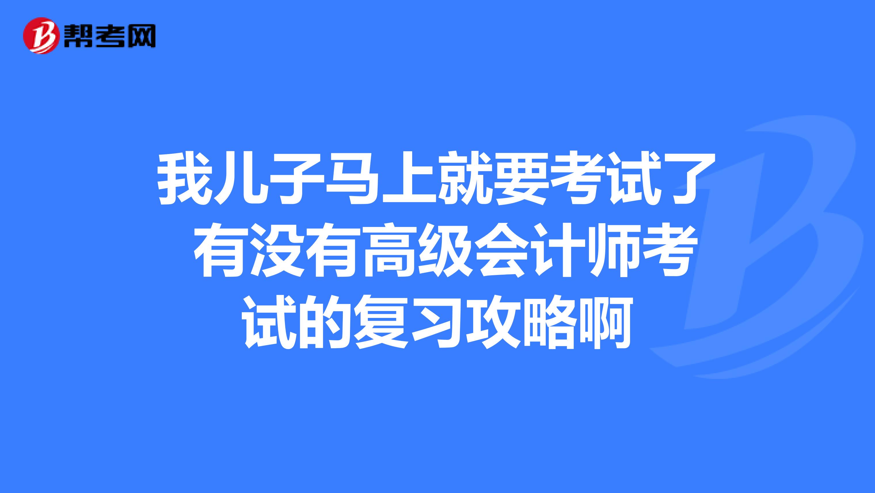 我儿子马上就要考试了 有没有高级会计师考试的复习攻略啊