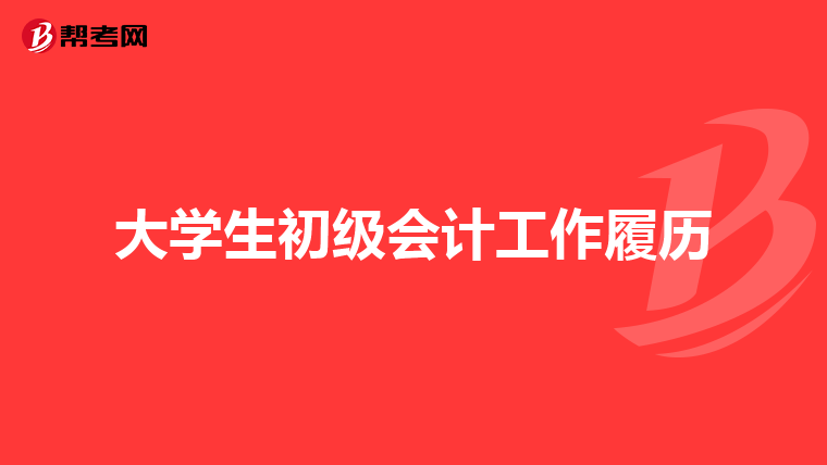 大学生初级会计工作履历
