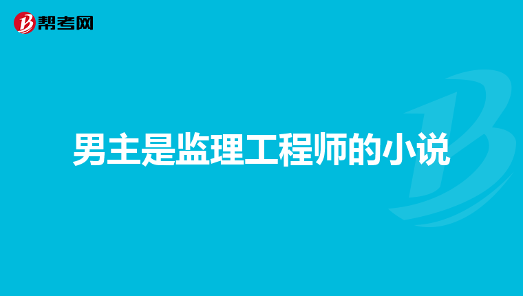 男主是监理工程师的小说
