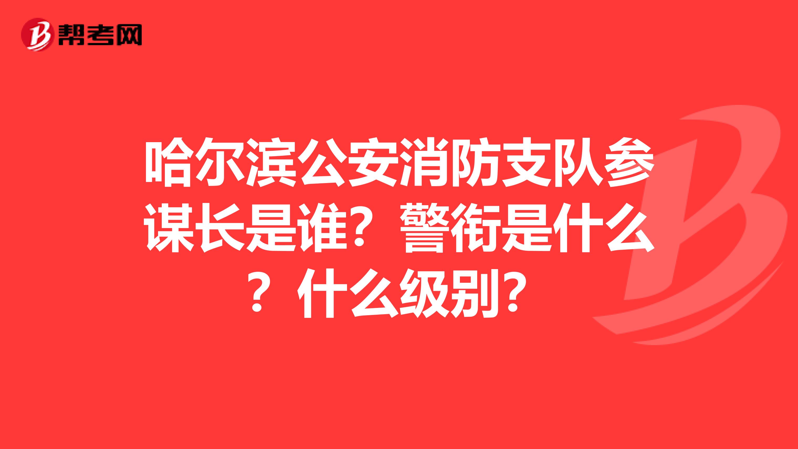 哈尔滨公安消防支队参谋长是谁?警衔是什么?什么级别?