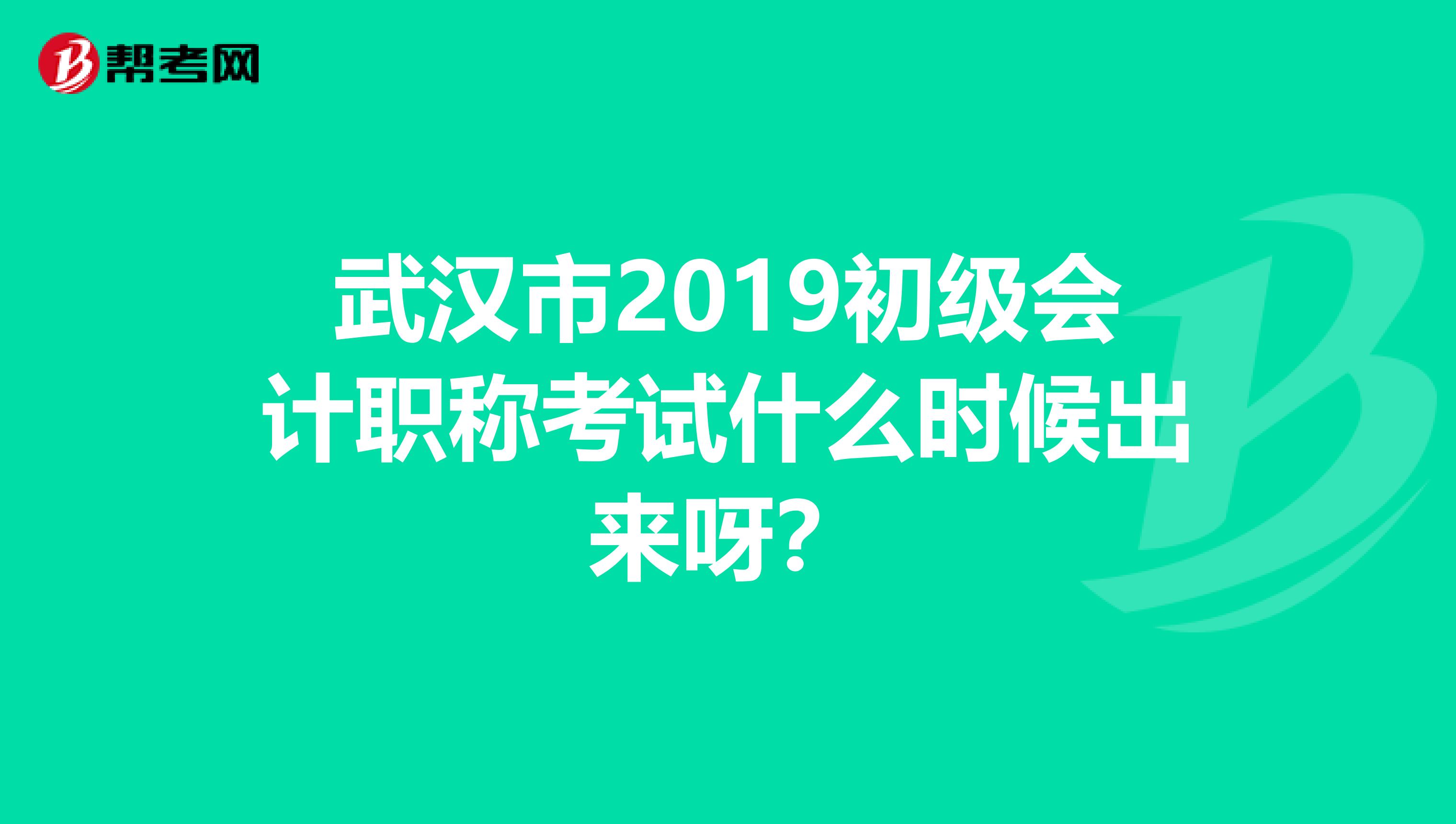 武汉市2019初级会计职称考试什么时候出来呀?