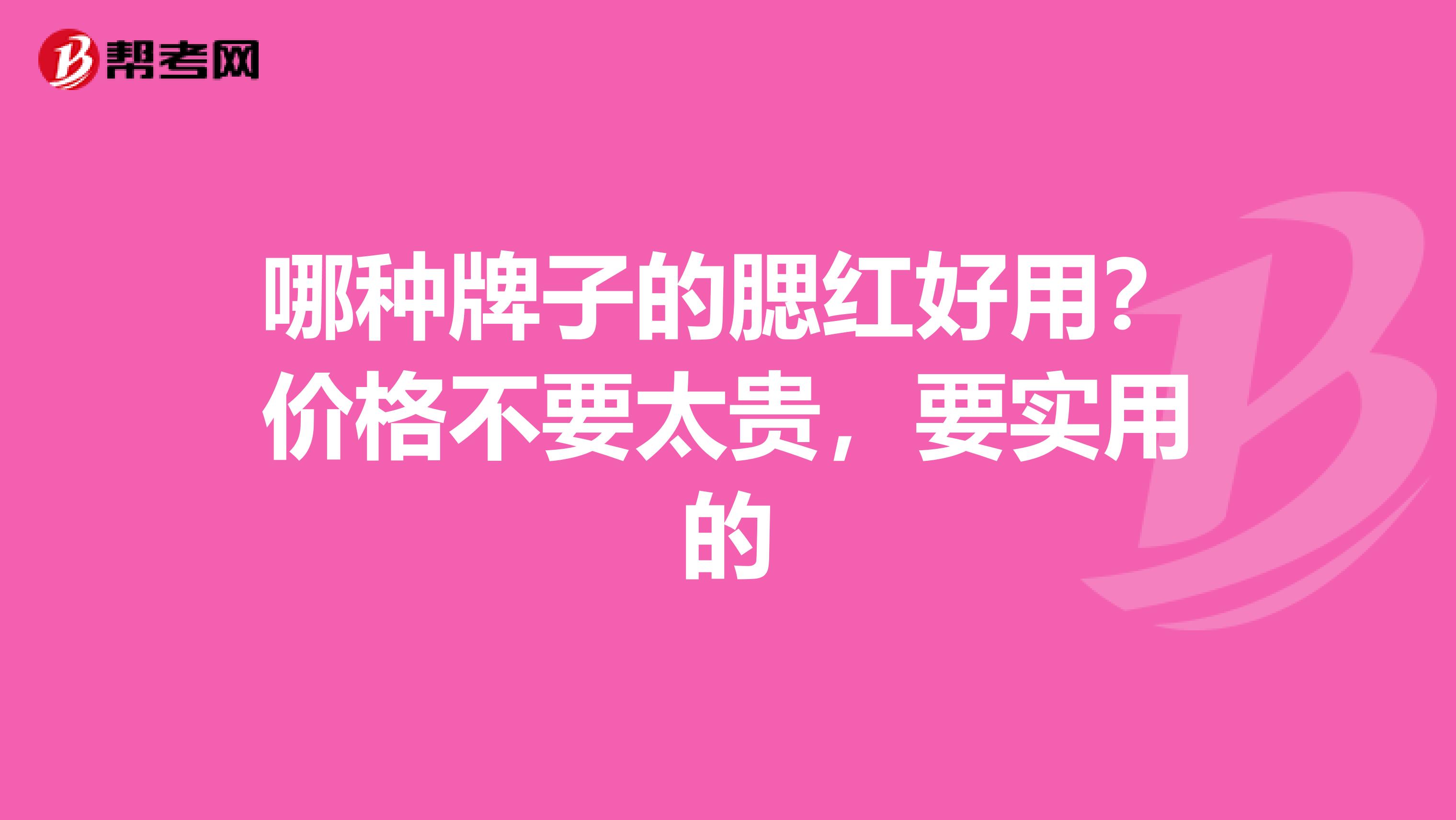 哪种牌子的腮红好用?价格不要太贵,要实用的