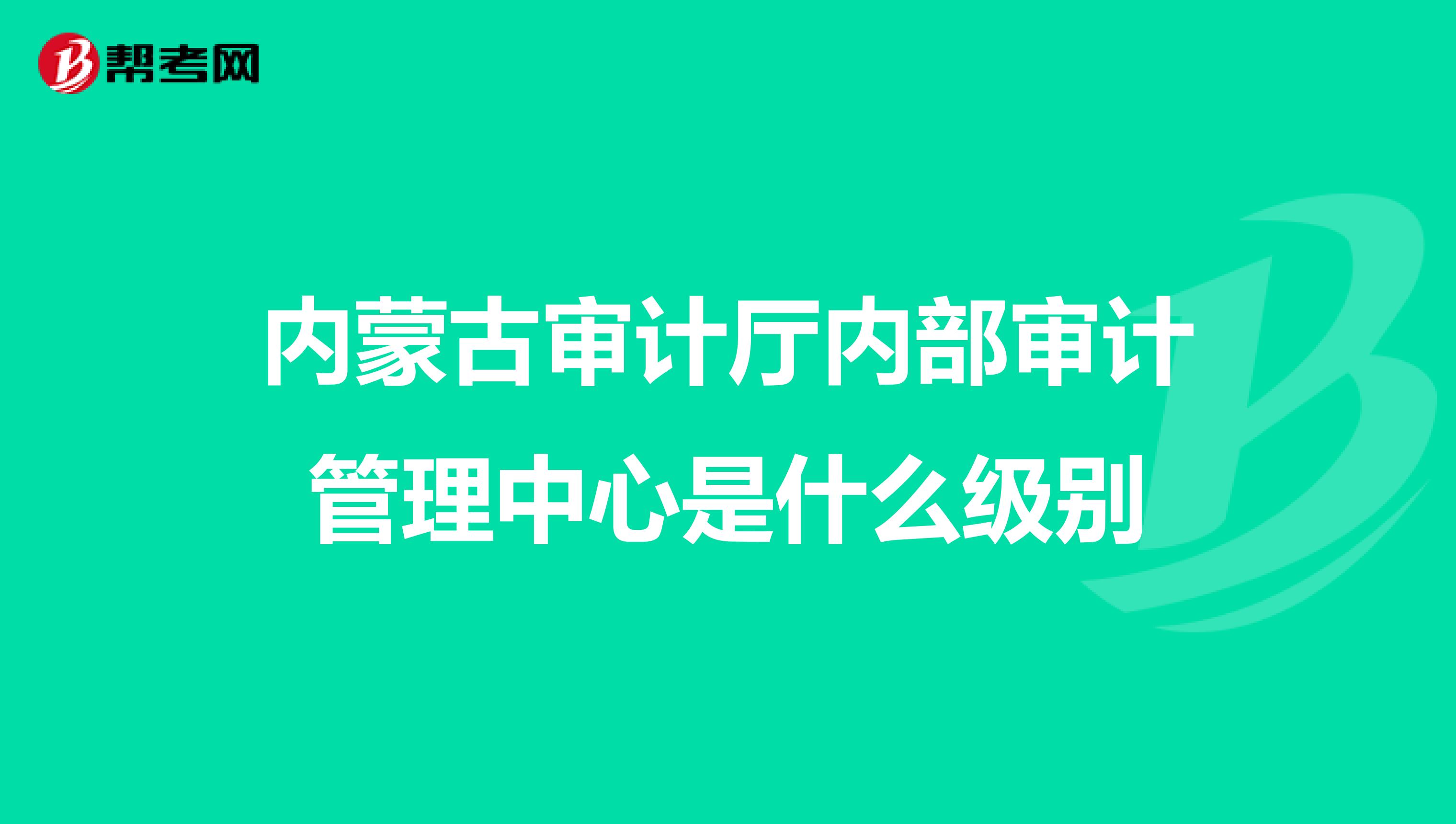内蒙古审计厅内部审计管理中心是什么级别