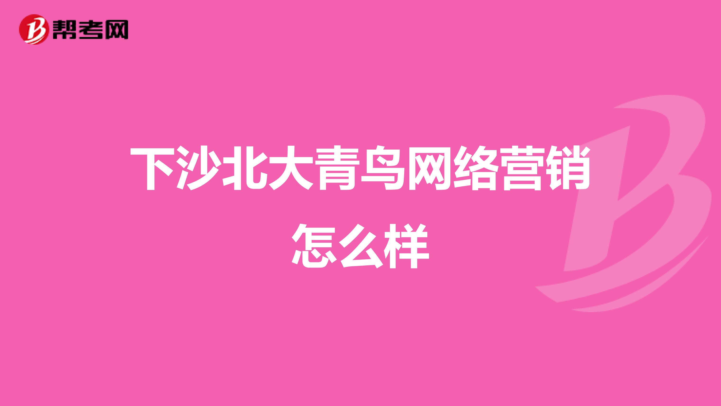 下沙北大青鸟网络营销怎么样