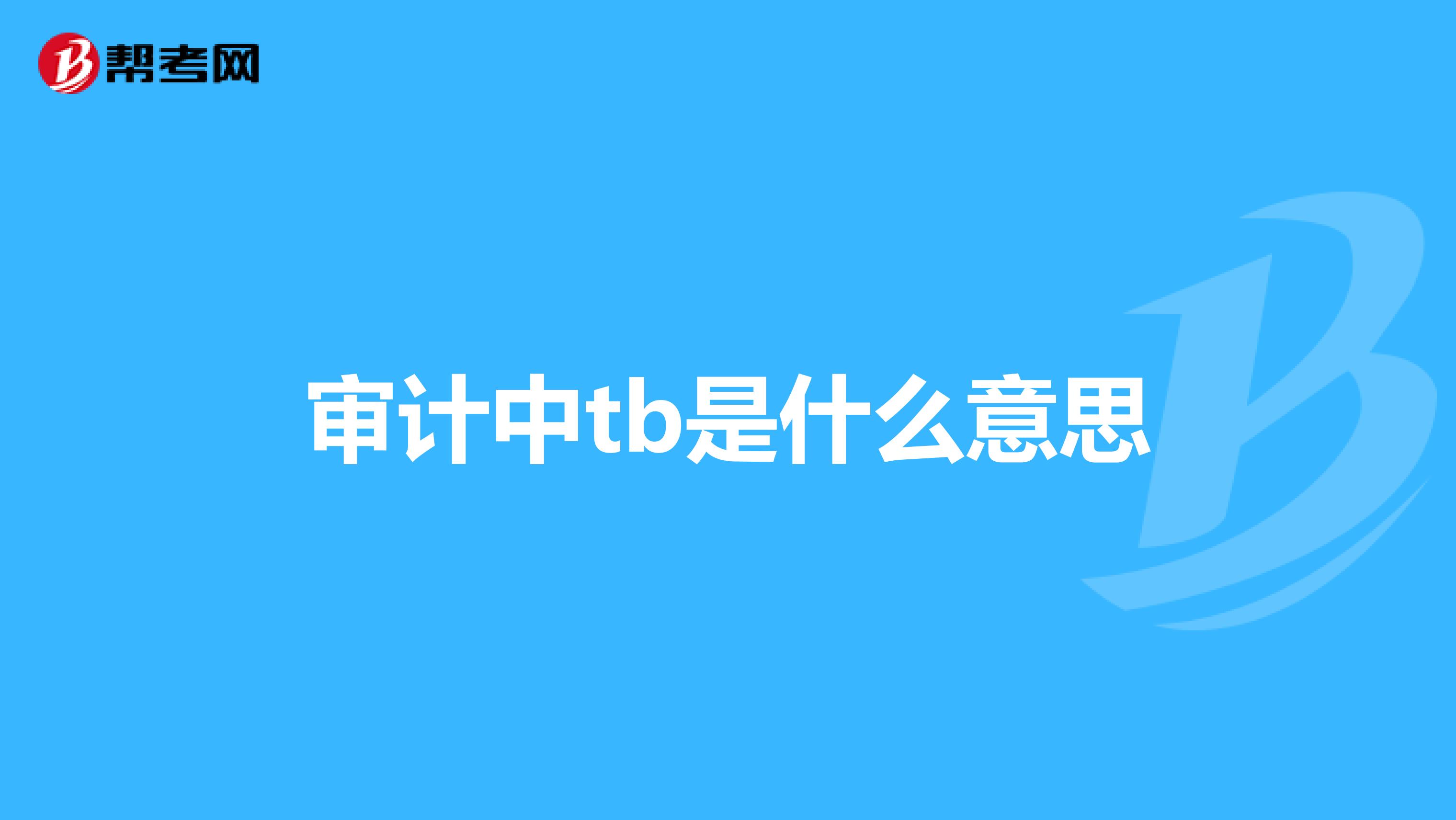 审计中tb是什么意思