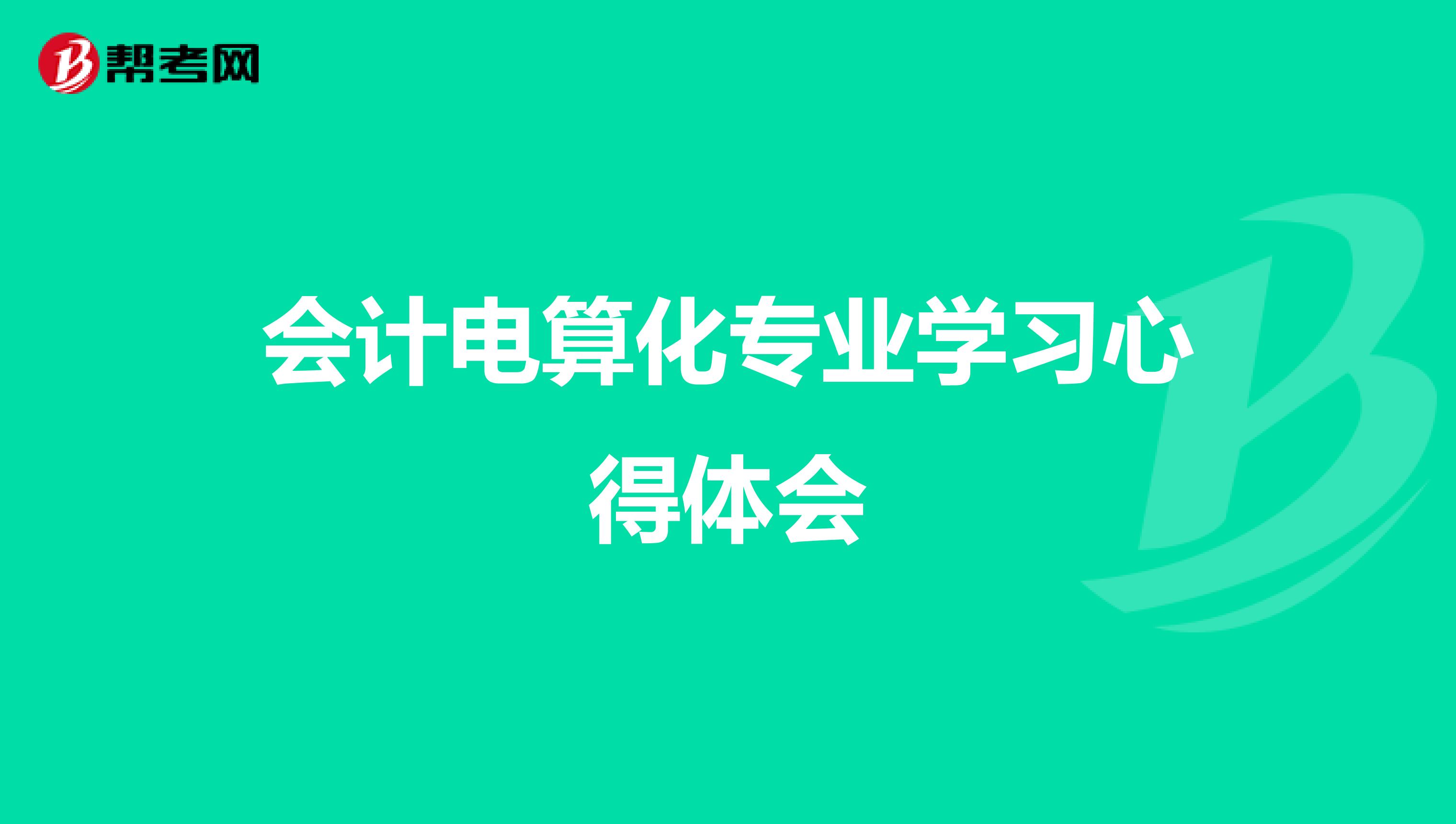 会计电算化专业学习心得体会